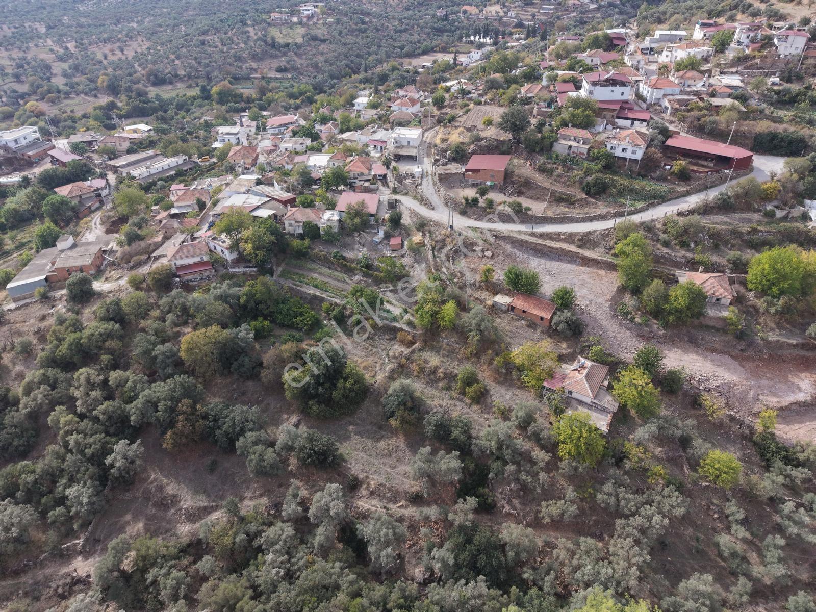 Doğadan Milas Karapınar Mah 925 M2 Köy İçi Arsa — fotoğraf 4