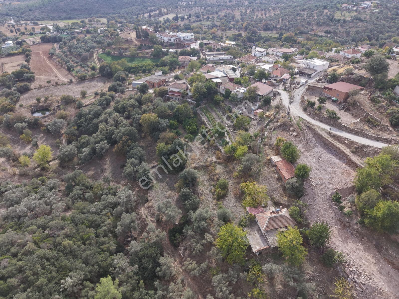 Doğadan Milas Karapınar Mah 925 M2 Köy İçi Arsa — fotoğraf 5