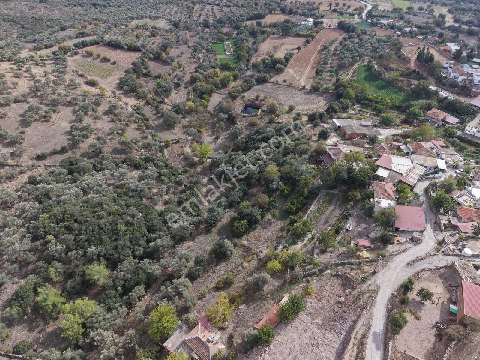 Doğadan Milas Karapınar Mah 925 M2 Köy İçi Arsa — fotoğraf 6