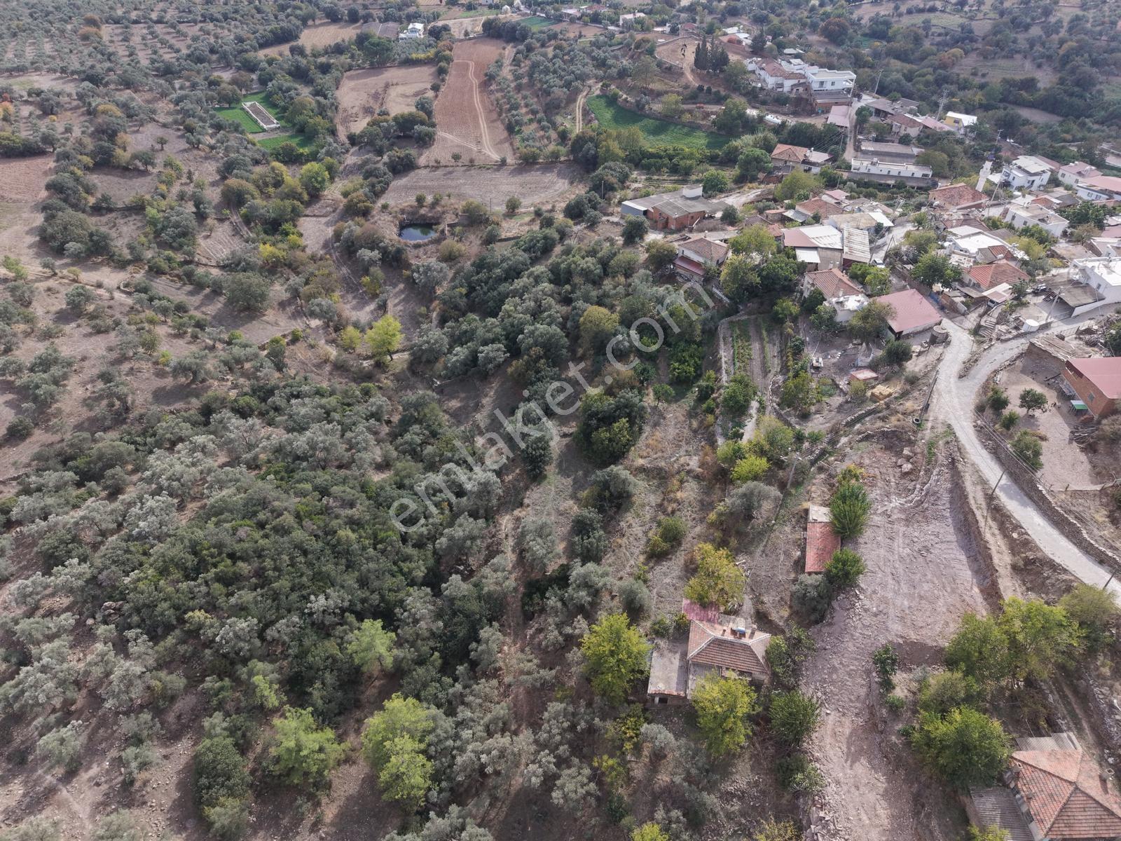 Doğadan Milas Karapınar Mah 925 M2 Köy İçi Arsa — fotoğraf 7