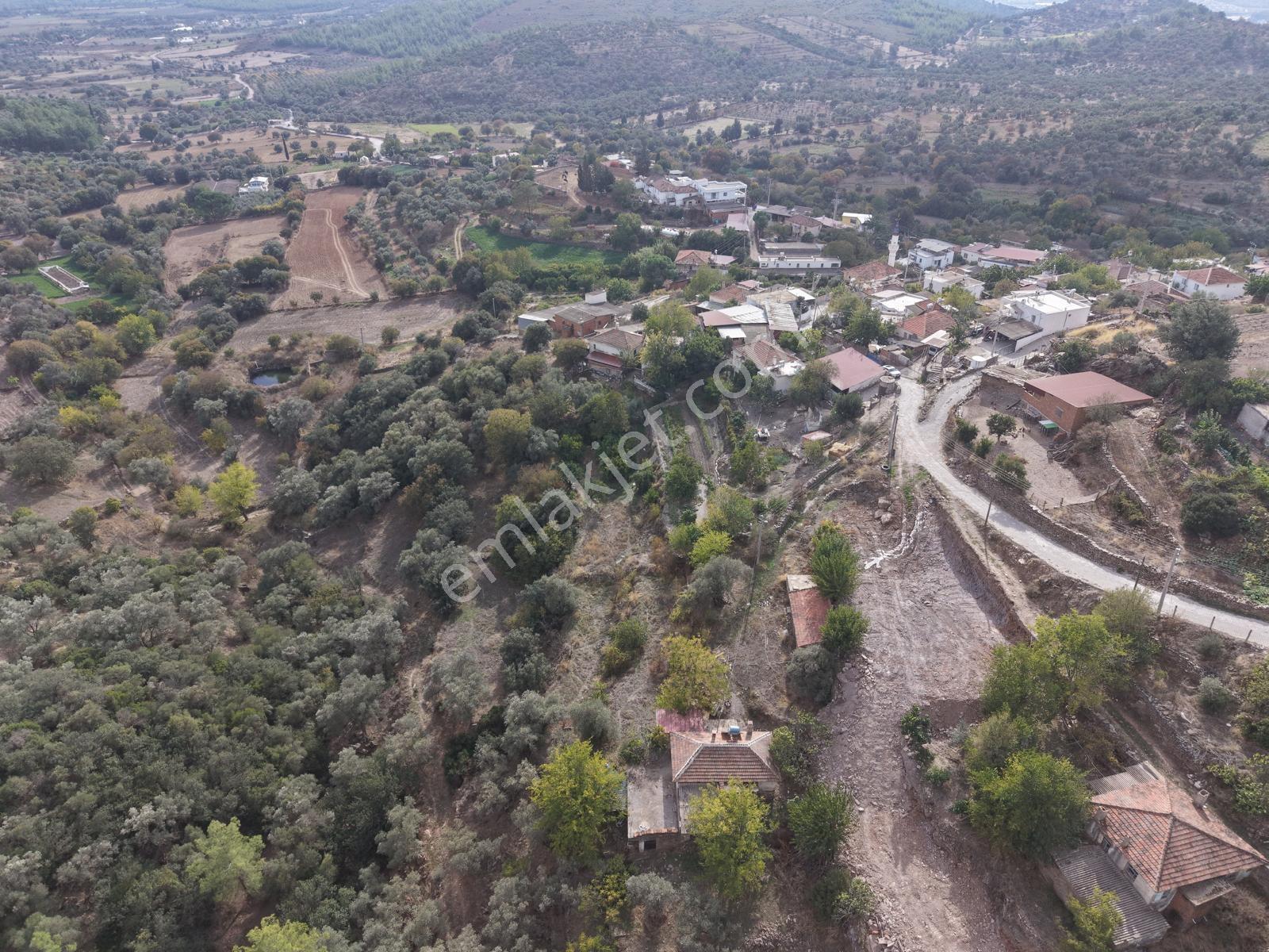 Doğadan Milas Karapınar Mah 925 M2 Köy İçi Arsa — fotoğraf 8