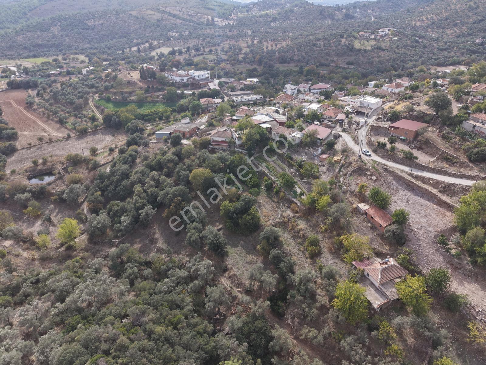 Doğadan Milas Karapınar Mah 925 M2 Köy İçi Arsa — fotoğraf 9