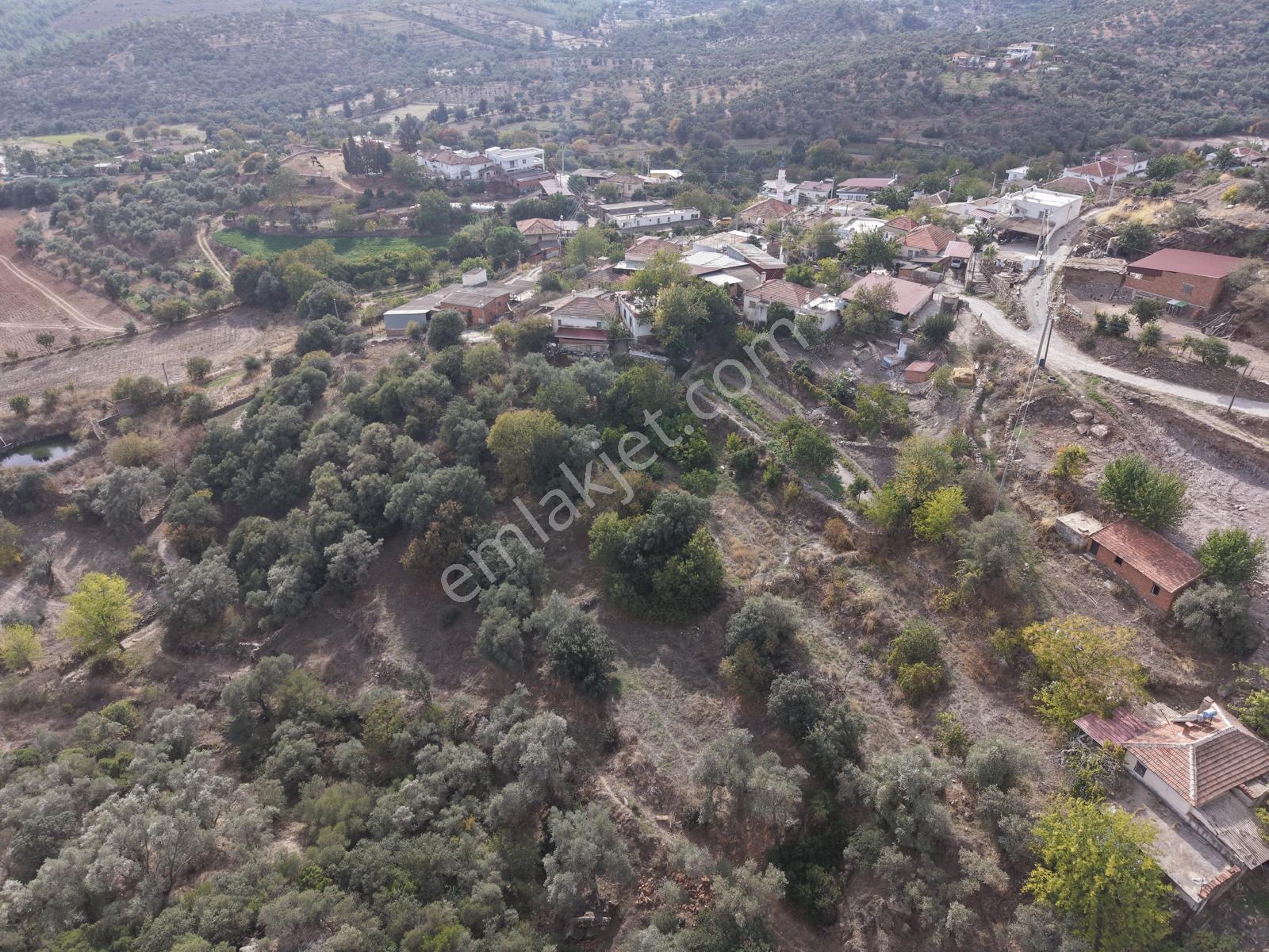 Doğadan Milas Karapınar Mah 925 M2 Köy İçi Arsa — fotoğraf 10