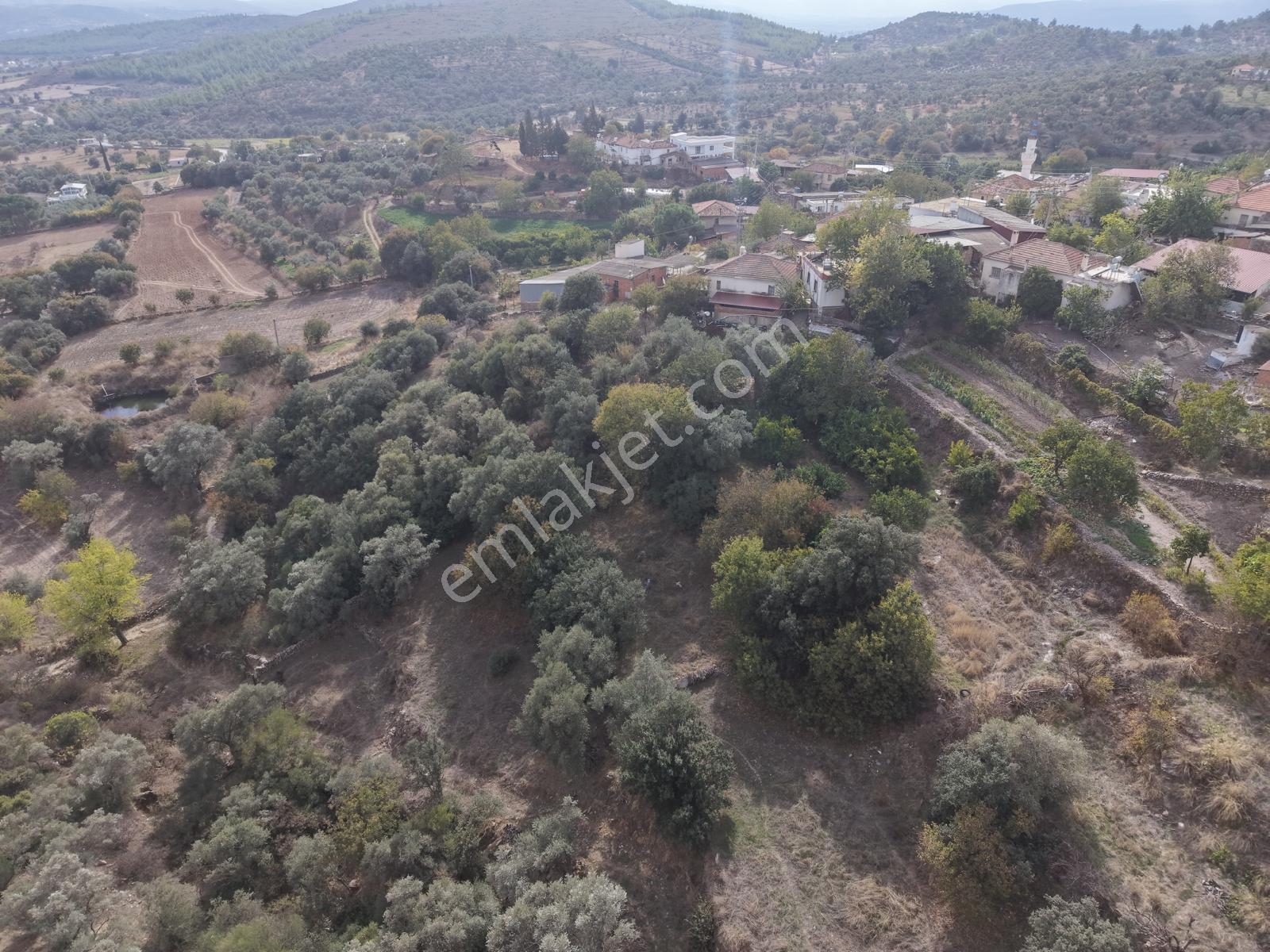 Doğadan Milas Karapınar Mah 925 M2 Köy İçi Arsa — fotoğraf 11