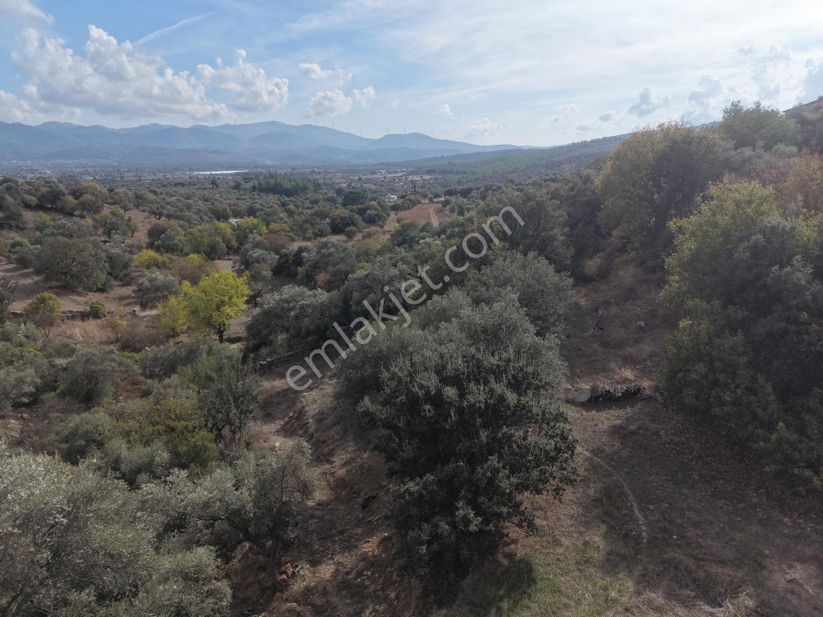 Doğadan Milas Karapınar Mah 925 M2 Köy İçi Arsa — fotoğraf 12