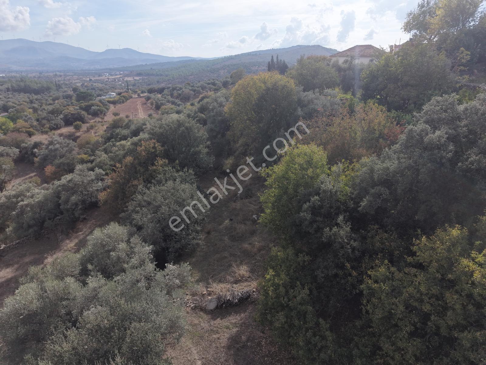 Doğadan Milas Karapınar Mah 925 M2 Köy İçi Arsa — fotoğraf 13