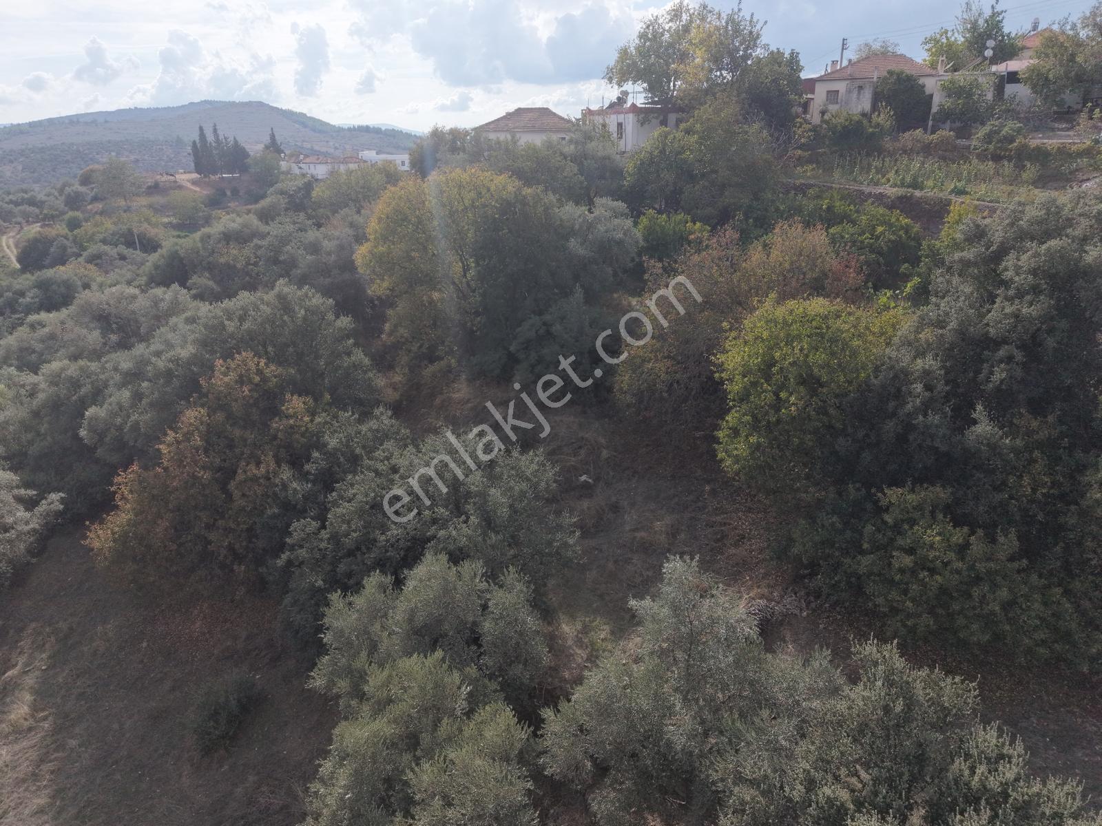 Doğadan Milas Karapınar Mah 925 M2 Köy İçi Arsa — fotoğraf 14