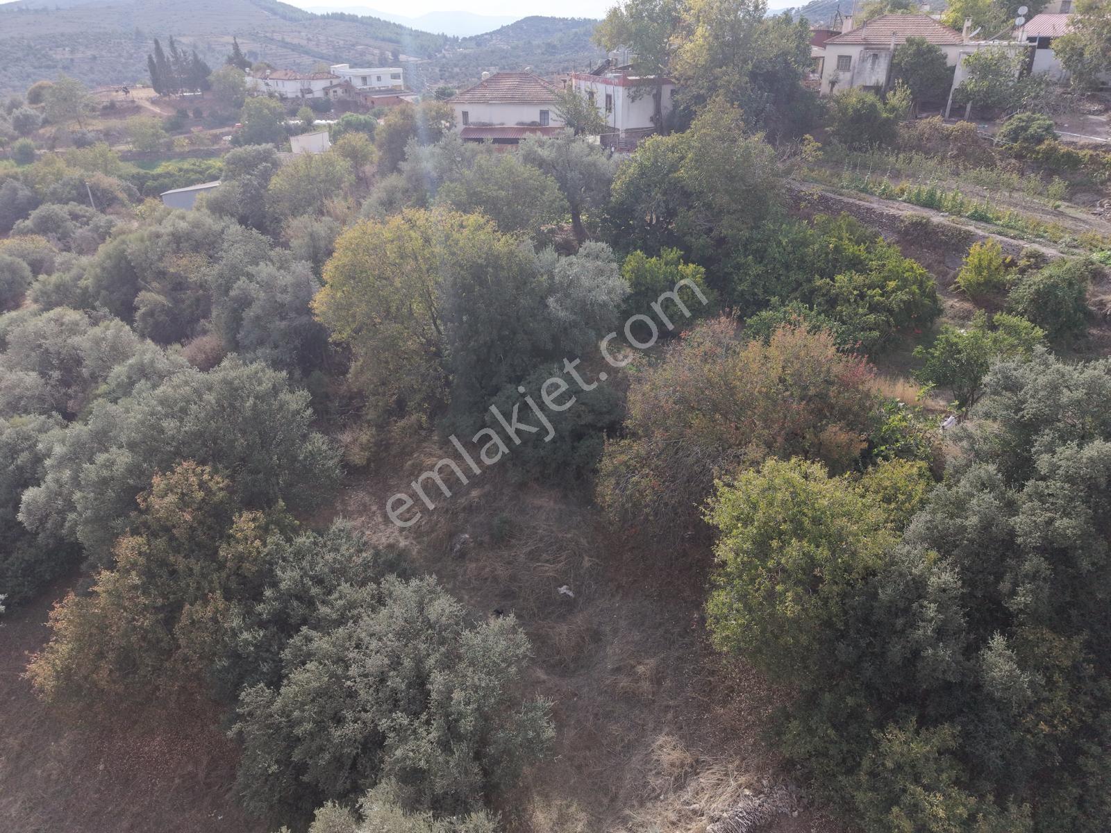 Doğadan Milas Karapınar Mah 925 M2 Köy İçi Arsa — fotoğraf 15
