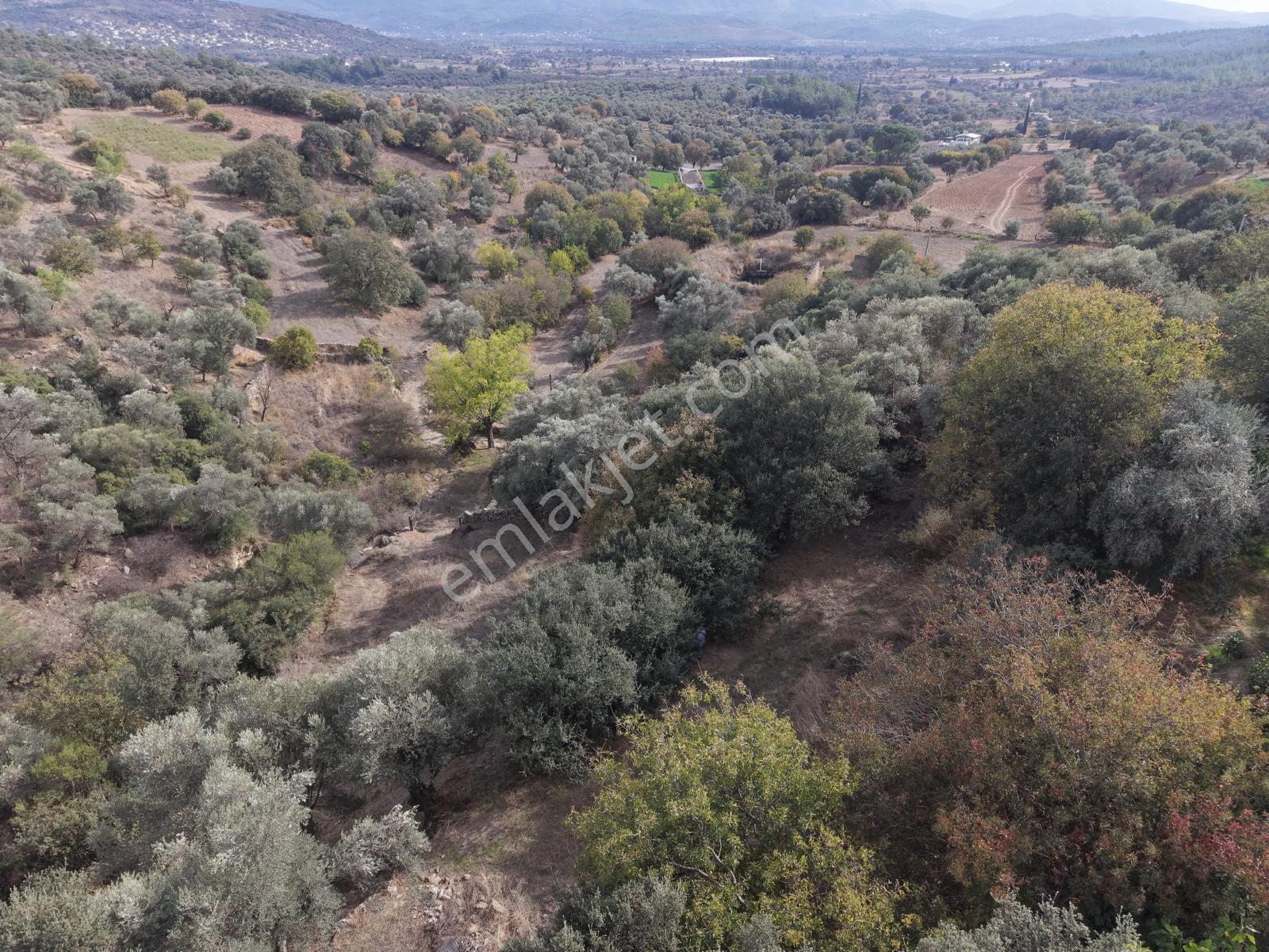 Doğadan Milas Karapınar Mah 925 M2 Köy İçi Arsa — fotoğraf 16