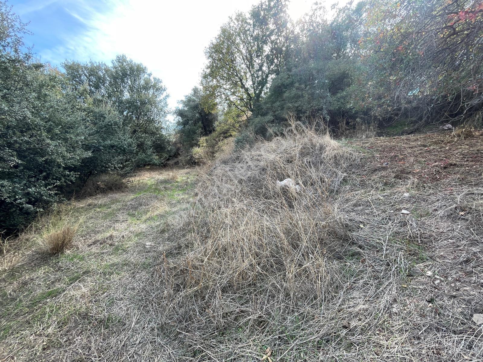 Doğadan Milas Karapınar Mah 925 M2 Köy İçi Arsa — fotoğraf 19