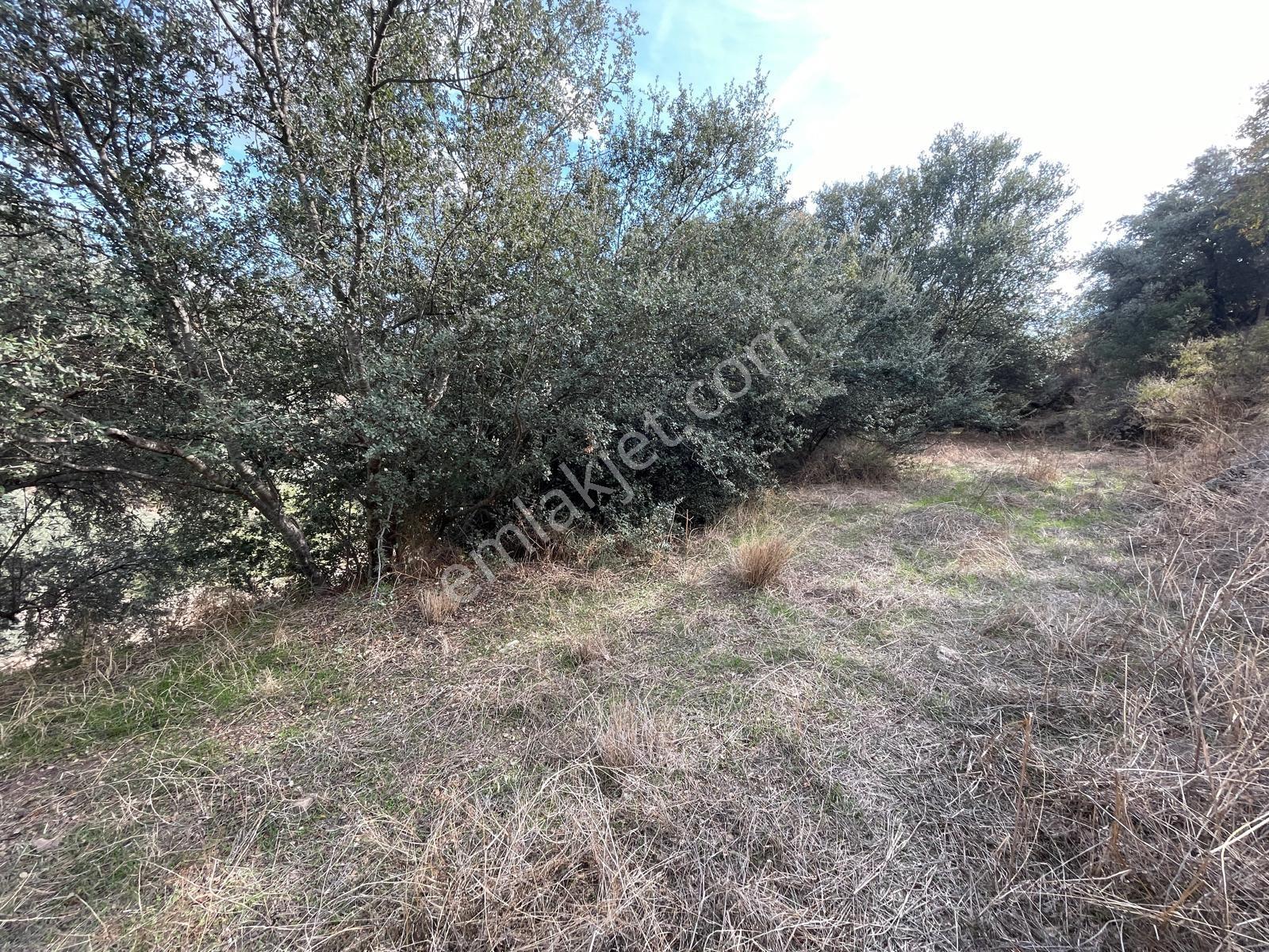 Doğadan Milas Karapınar Mah 925 M2 Köy İçi Arsa — fotoğraf 20