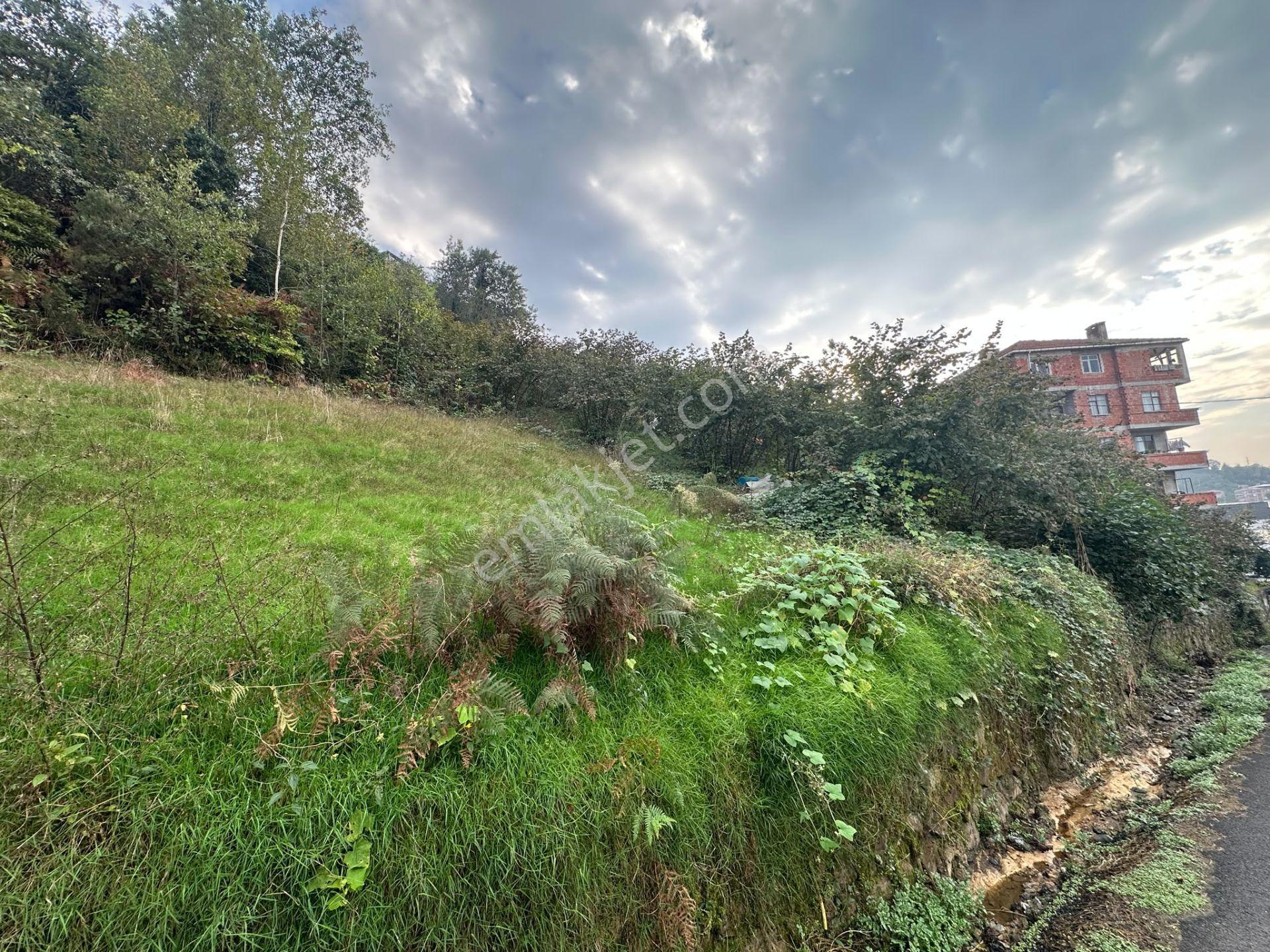 Trabzon Arsin'de Sahil Yoluna Yakın Satılık Arazi — fotoğraf 8