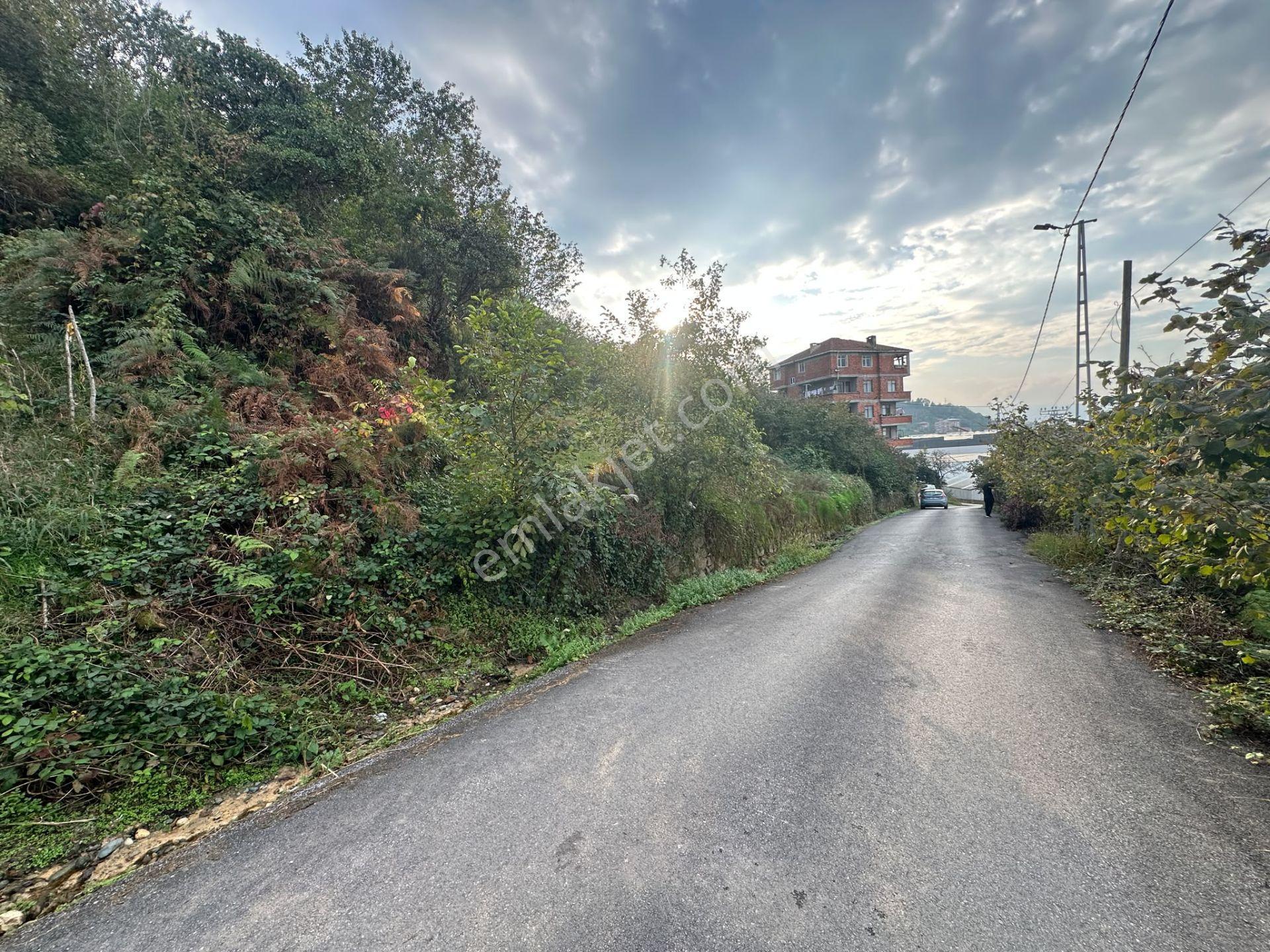Trabzon Arsin'de Sahil Yoluna Yakın Satılık Arazi — fotoğraf 14