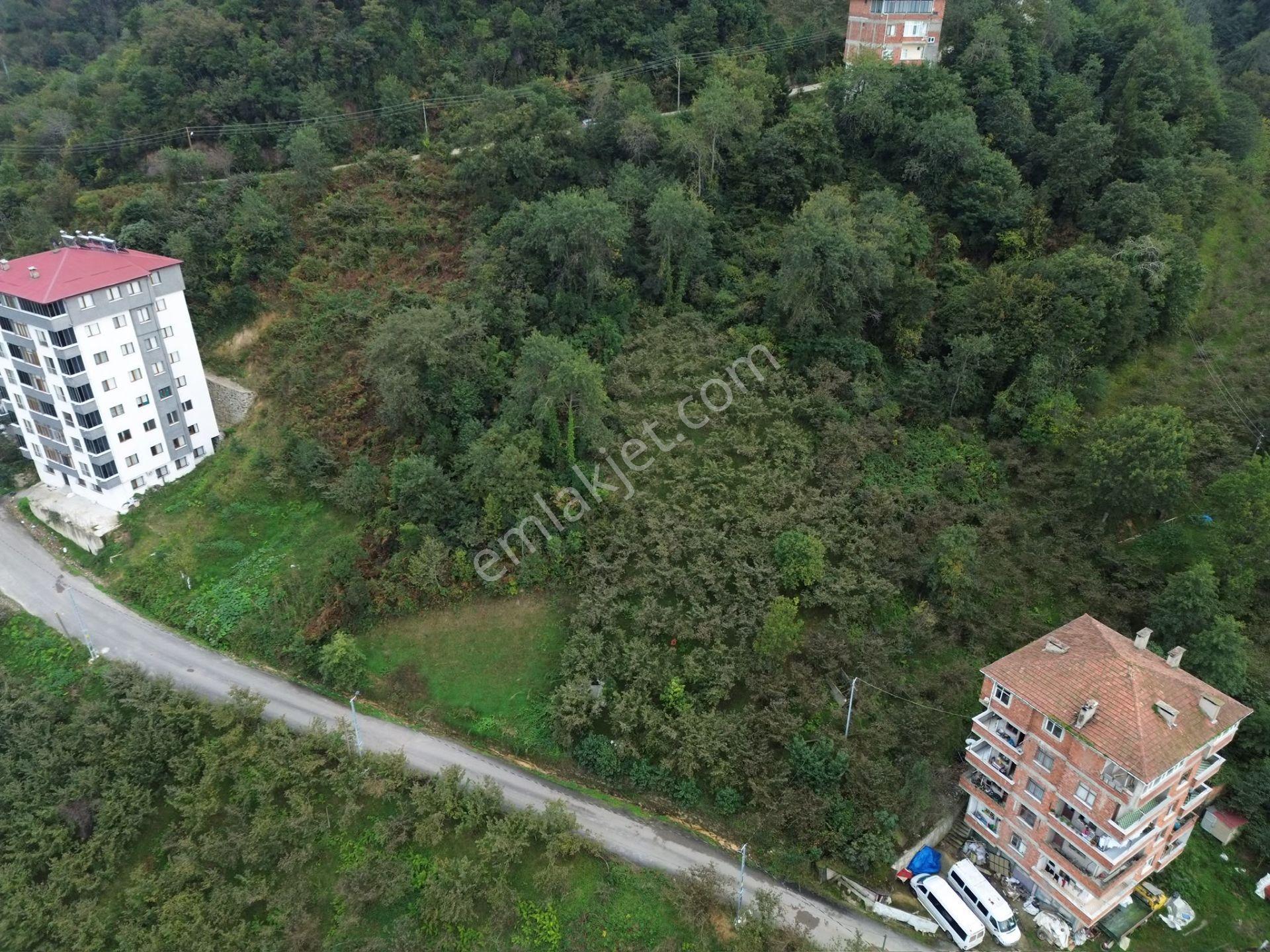 Trabzon Arsin'de Sahil Yoluna Yakın Satılık Arazi — fotoğraf 15