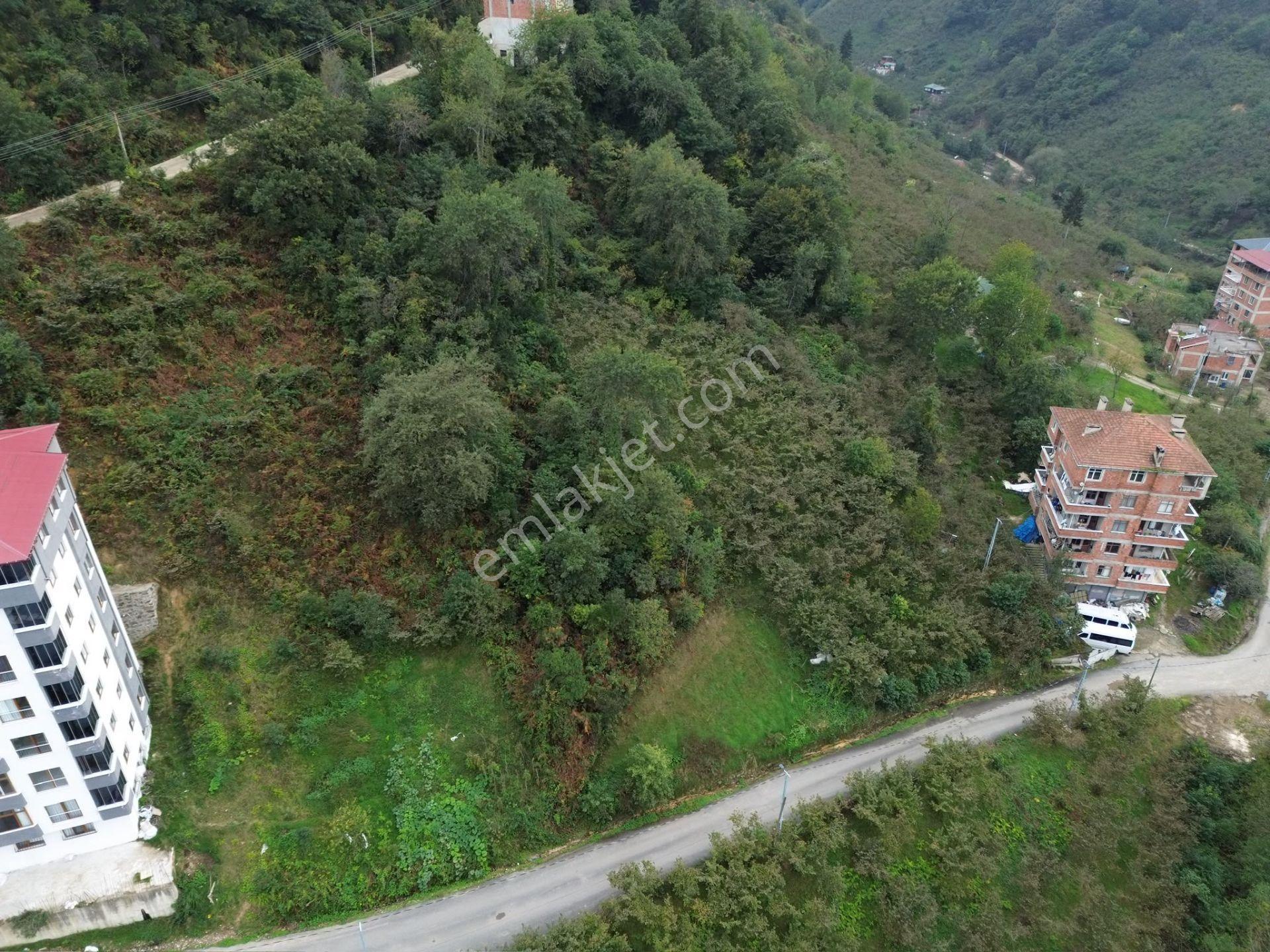 Trabzon Arsin'de Sahil Yoluna Yakın Satılık Arazi — fotoğraf 16