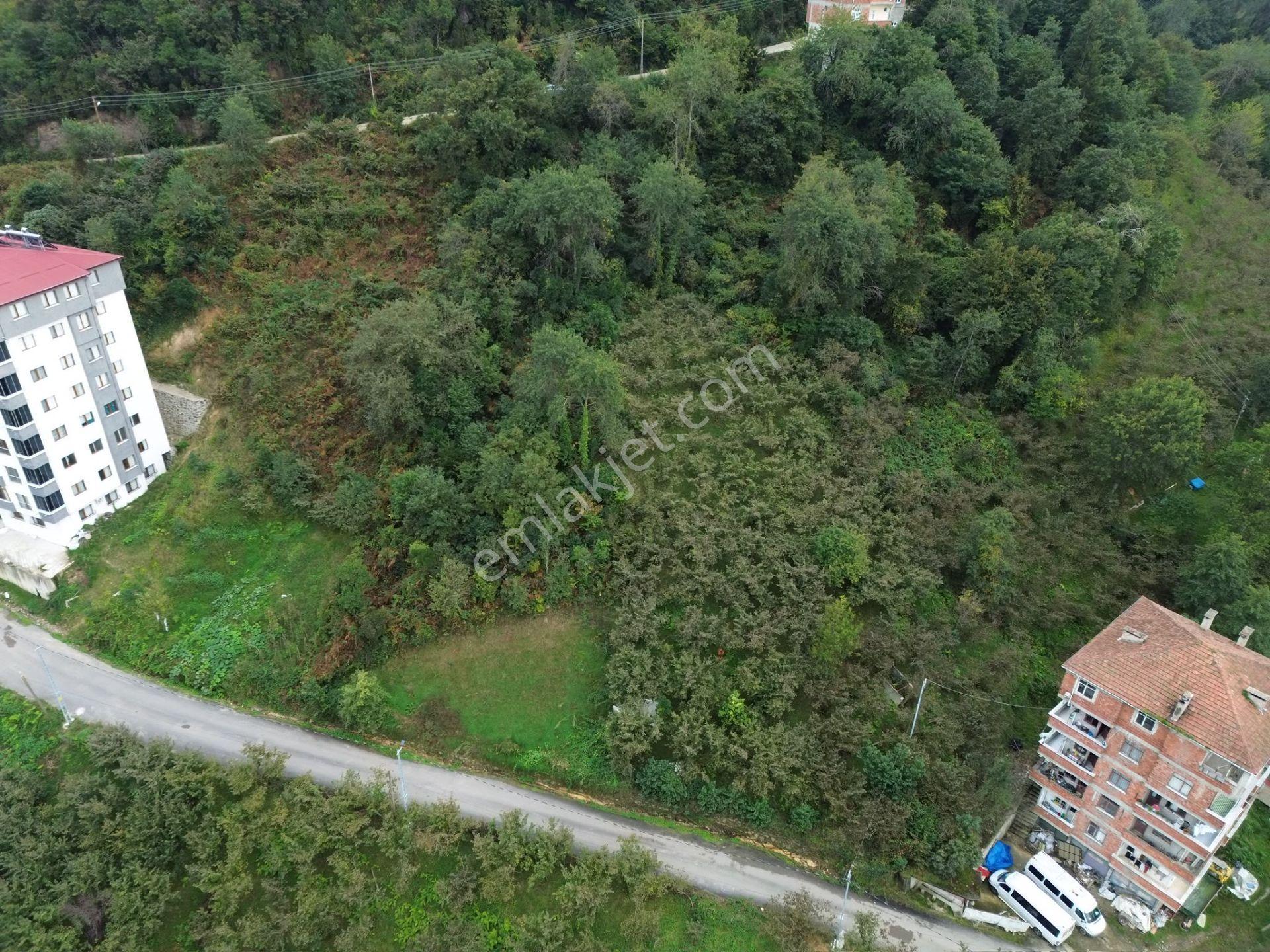 Trabzon Arsin'de Sahil Yoluna Yakın Satılık Arazi — fotoğraf 17