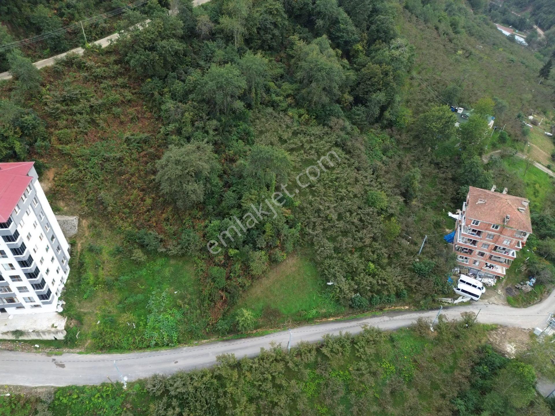 Trabzon Arsin'de Sahil Yoluna Yakın Satılık Arazi — fotoğraf 19