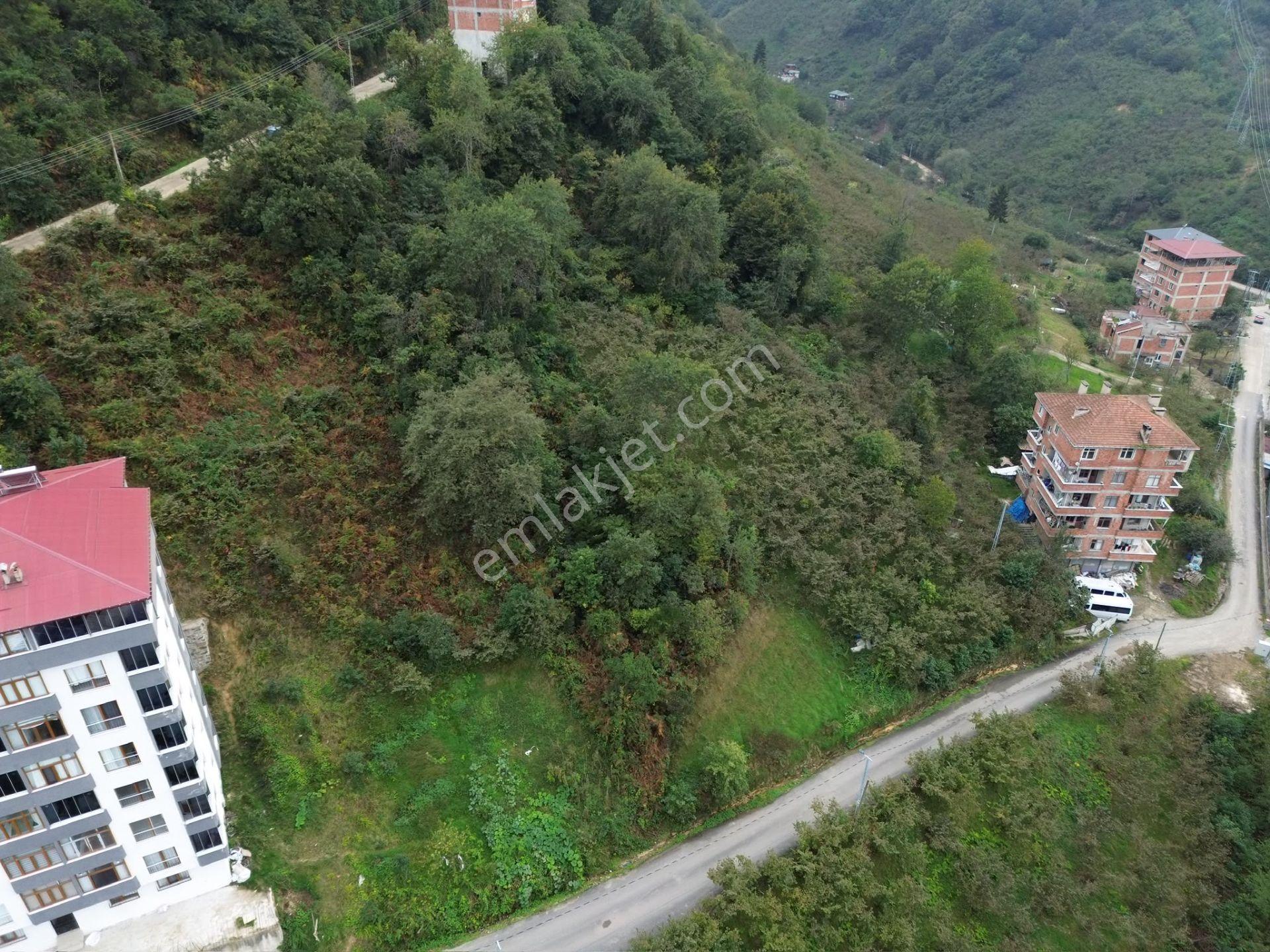 Trabzon Arsin'de Sahil Yoluna Yakın Satılık Arazi — fotoğraf 20