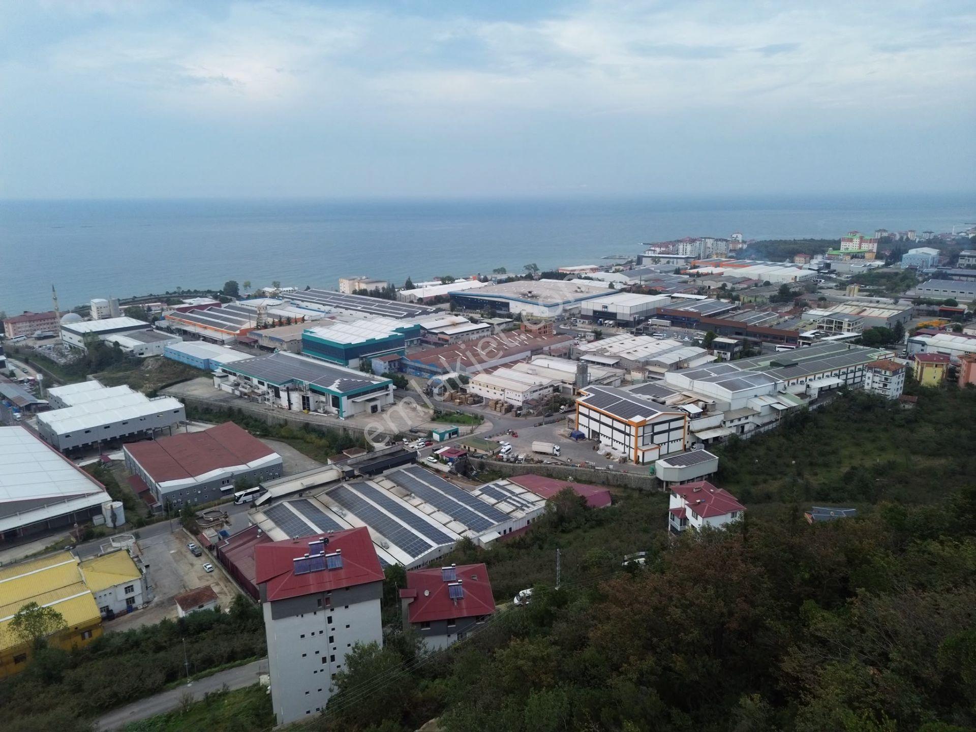 Trabzon Arsin'de Sahil Yoluna Yakın Satılık Arazi — fotoğraf 25
