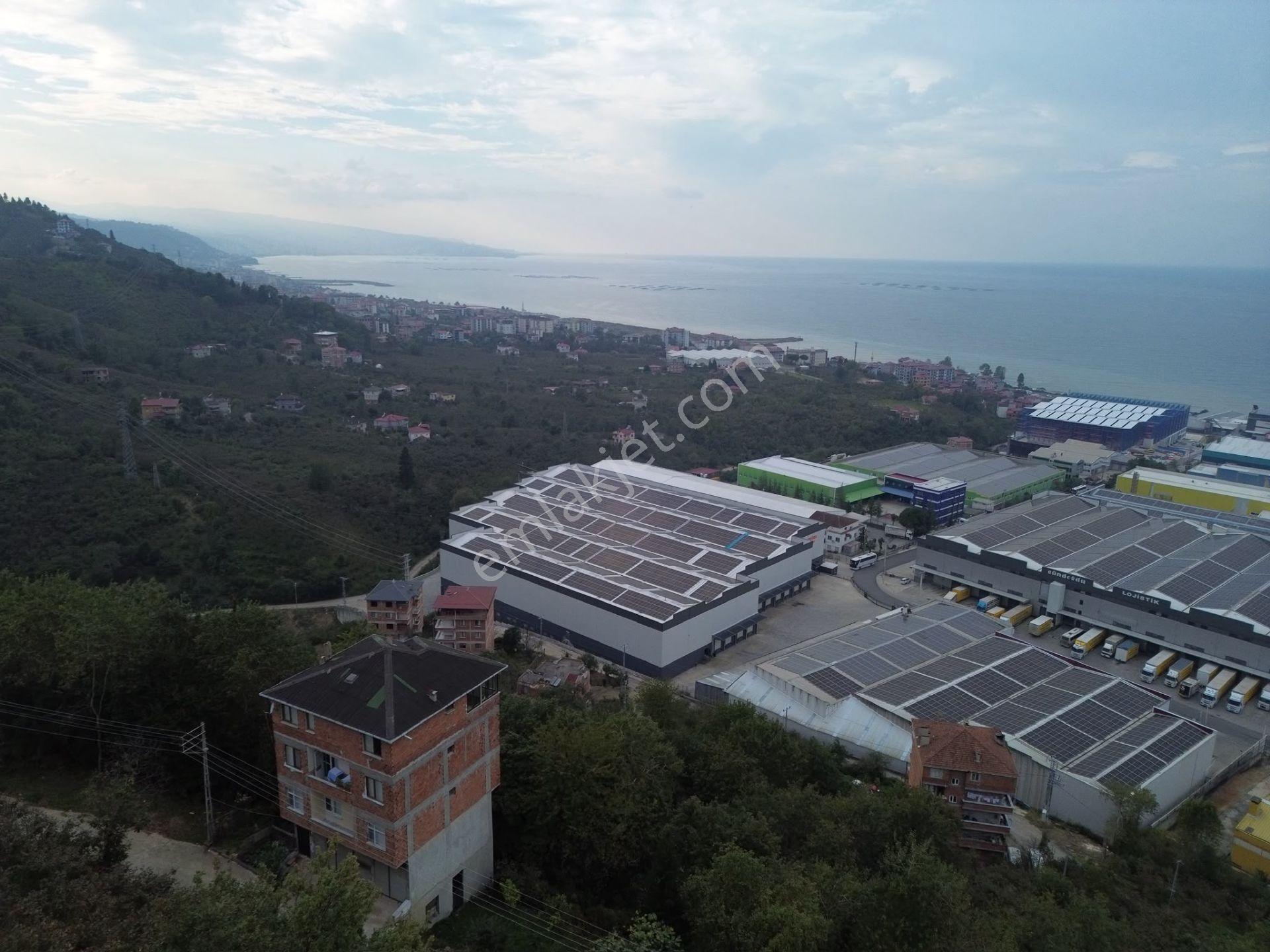 Trabzon Arsin'de Sahil Yoluna Yakın Satılık Arazi — fotoğraf 26