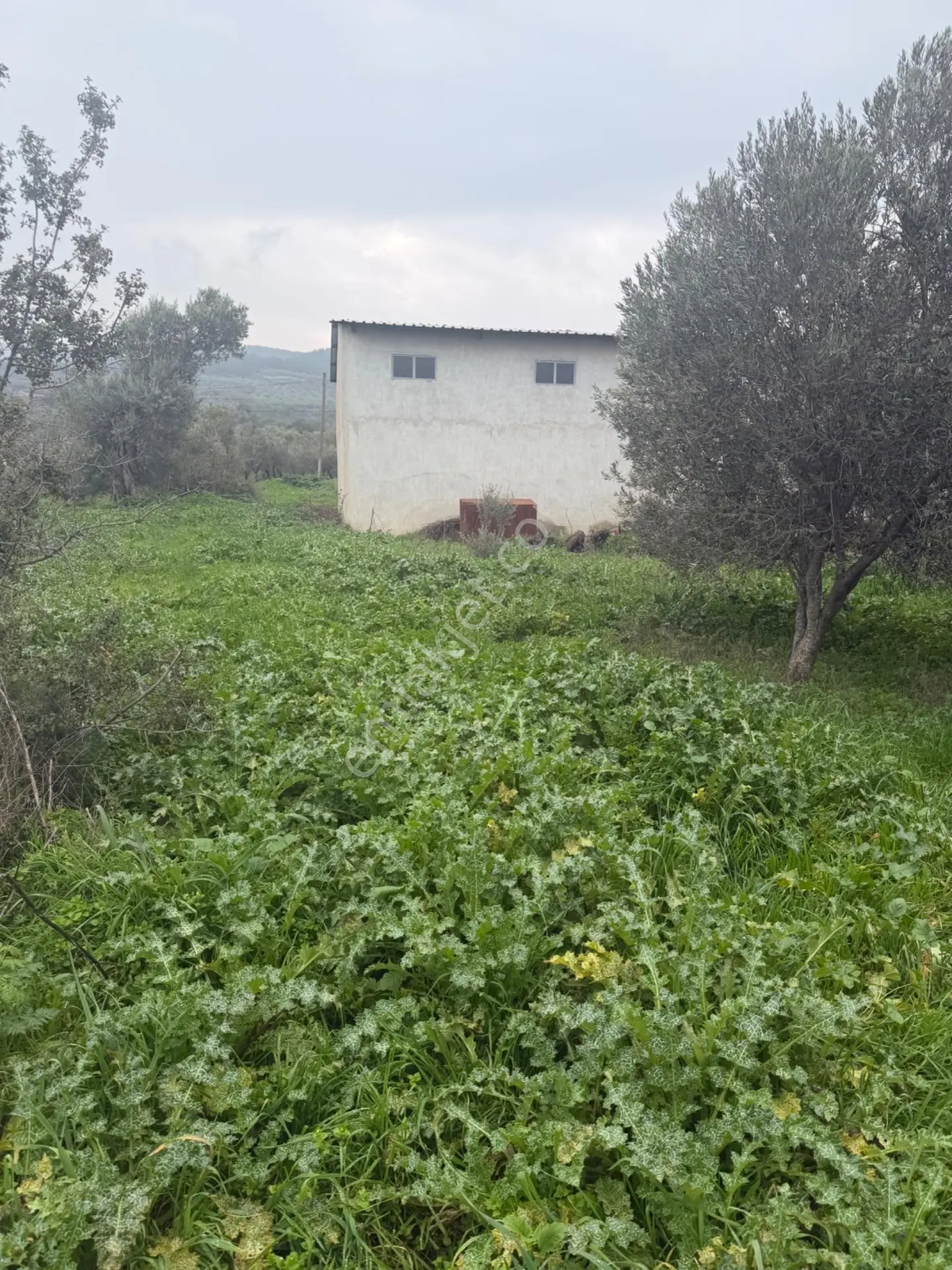 Saruhanlı Alibeyli’de 274 M² Tek Tapu İmarlı Müstakil Arsa – 1.000.000 ₺ — fotoğraf 3