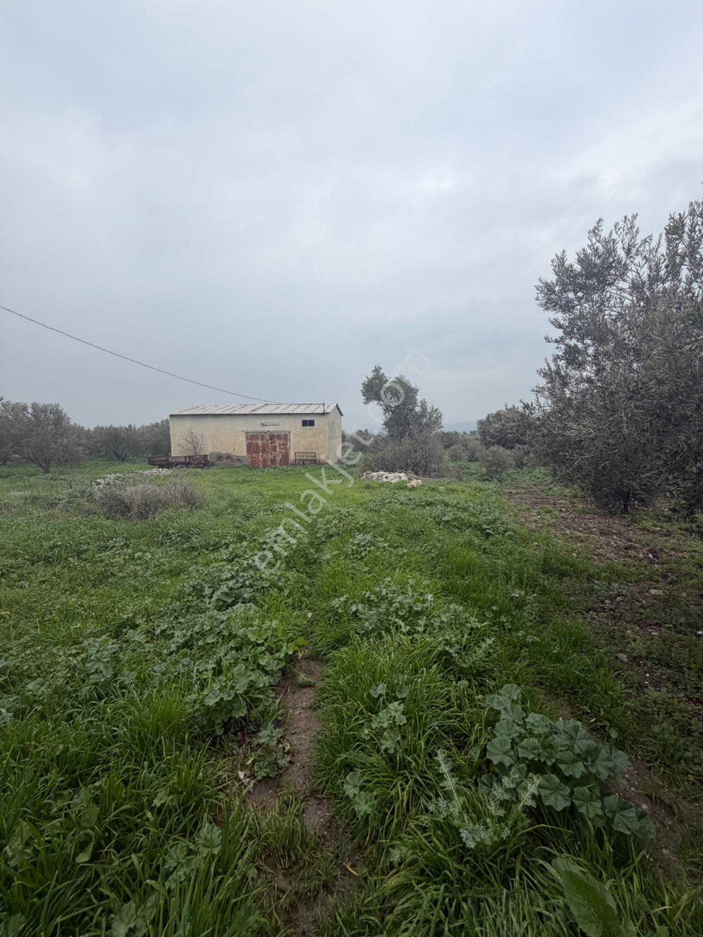 Saruhanlı Alibeyli’de 274 M² Tek Tapu İmarlı Müstakil Arsa – 1.000.000 ₺ — fotoğraf 10