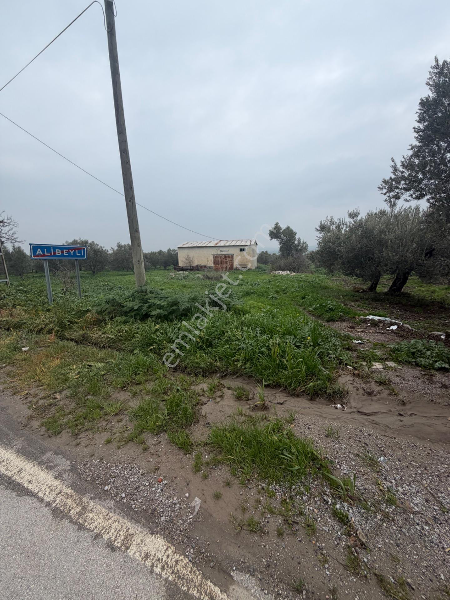 Saruhanlı Alibeyli’de 274 M² Tek Tapu İmarlı Müstakil Arsa – 1.000.000 ₺ — fotoğraf 12