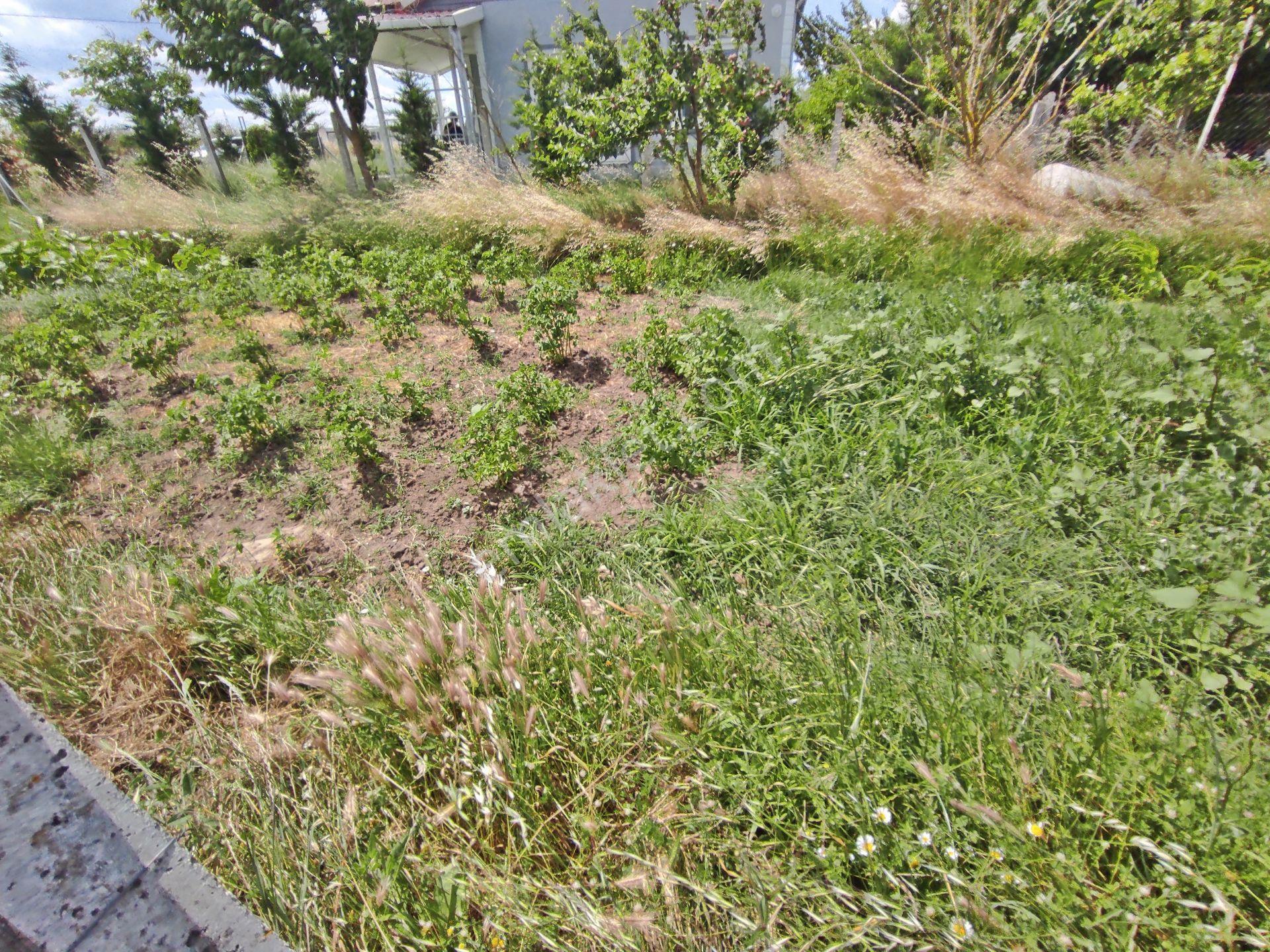 Kırklareli Vize Düzova Köyünde Yerleşim Alanı İçinde 602-m2 Arsa — fotoğraf 23