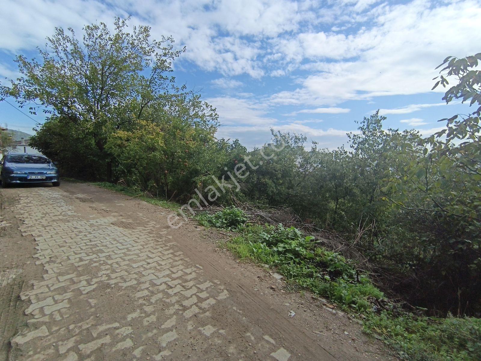 Köy Civarı İmarlı Arsa 2.5 Kat İmarlıdir — fotoğraf 4