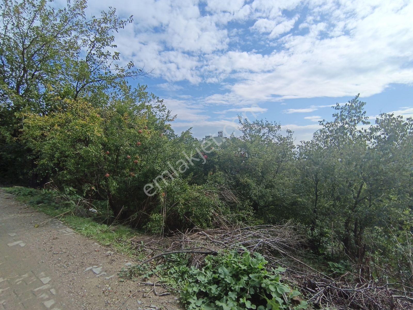 Köy Civarı İmarlı Arsa 2.5 Kat İmarlıdir — fotoğraf 5