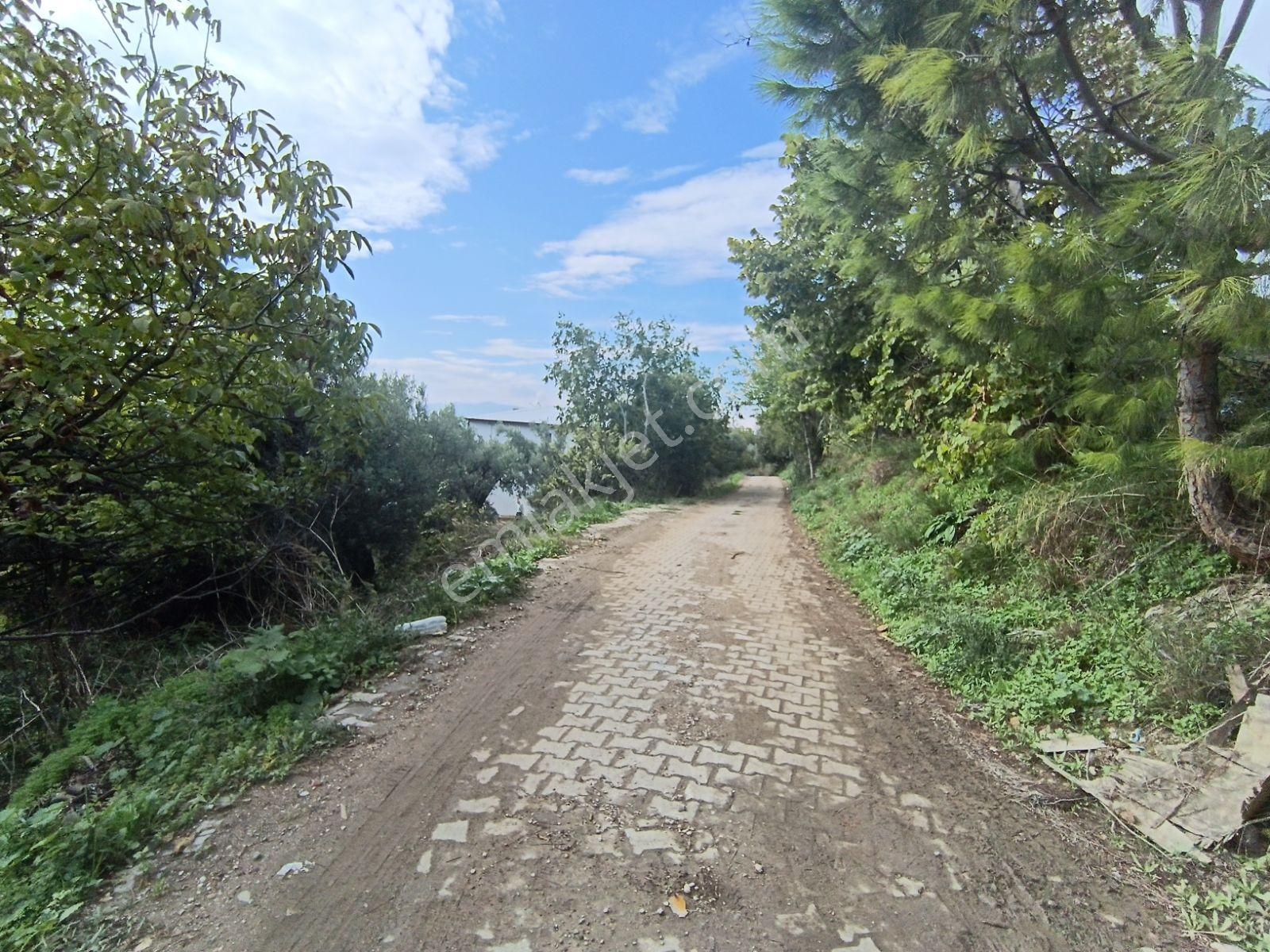 Köy Civarı İmarlı Arsa 2.5 Kat İmarlıdir — fotoğraf 7