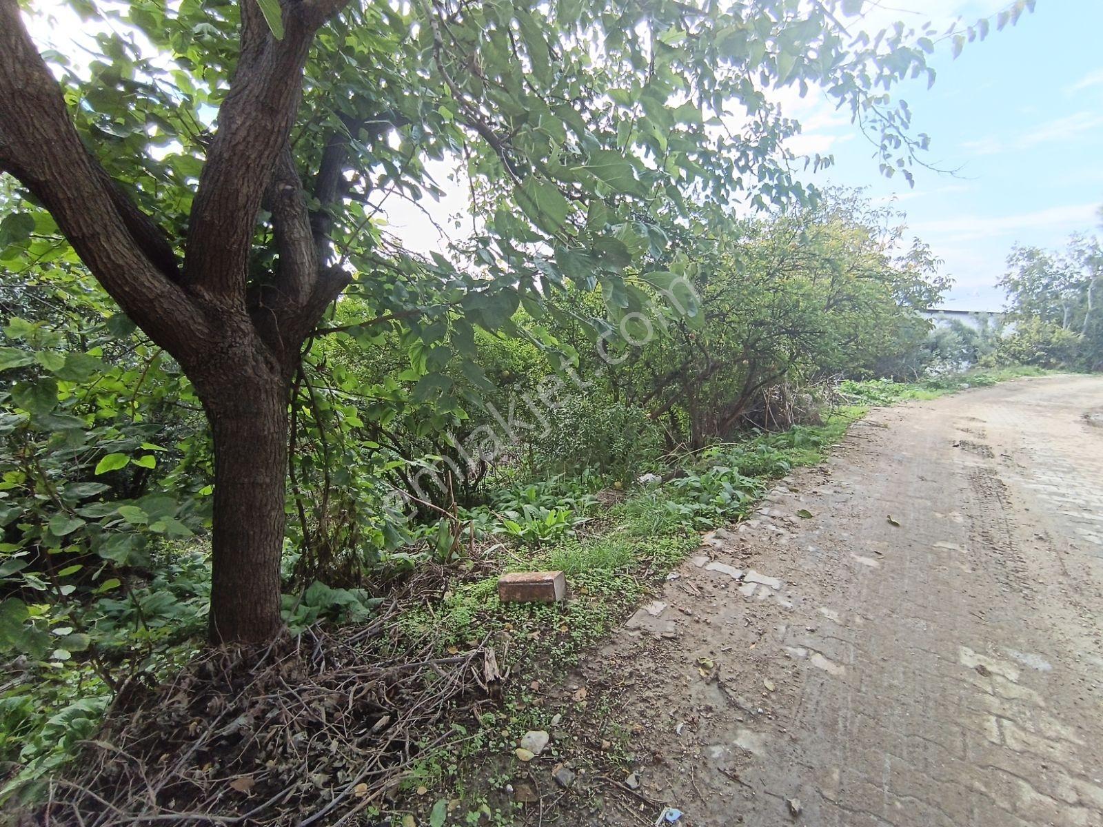 Köy Civarı İmarlı Arsa 2.5 Kat İmarlıdir — fotoğraf 9