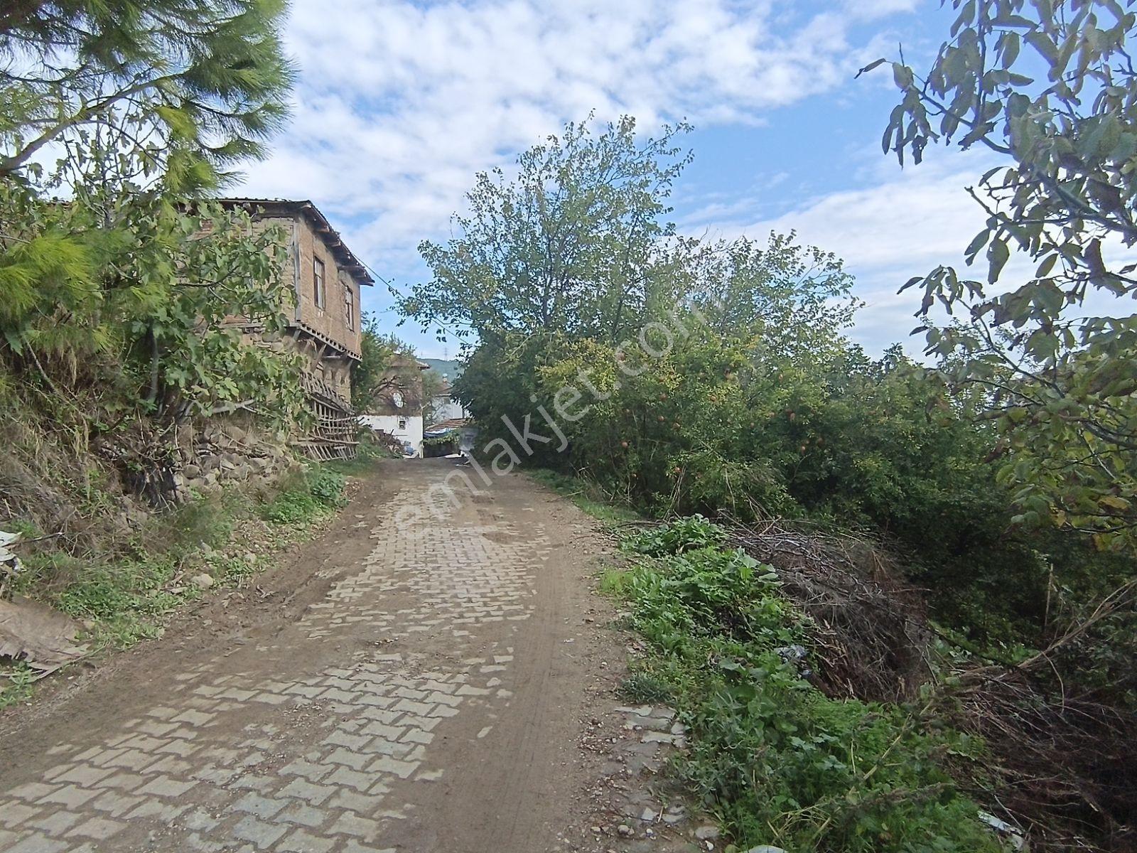 Köy Civarı İmarlı Arsa 2.5 Kat İmarlıdir — fotoğraf 10