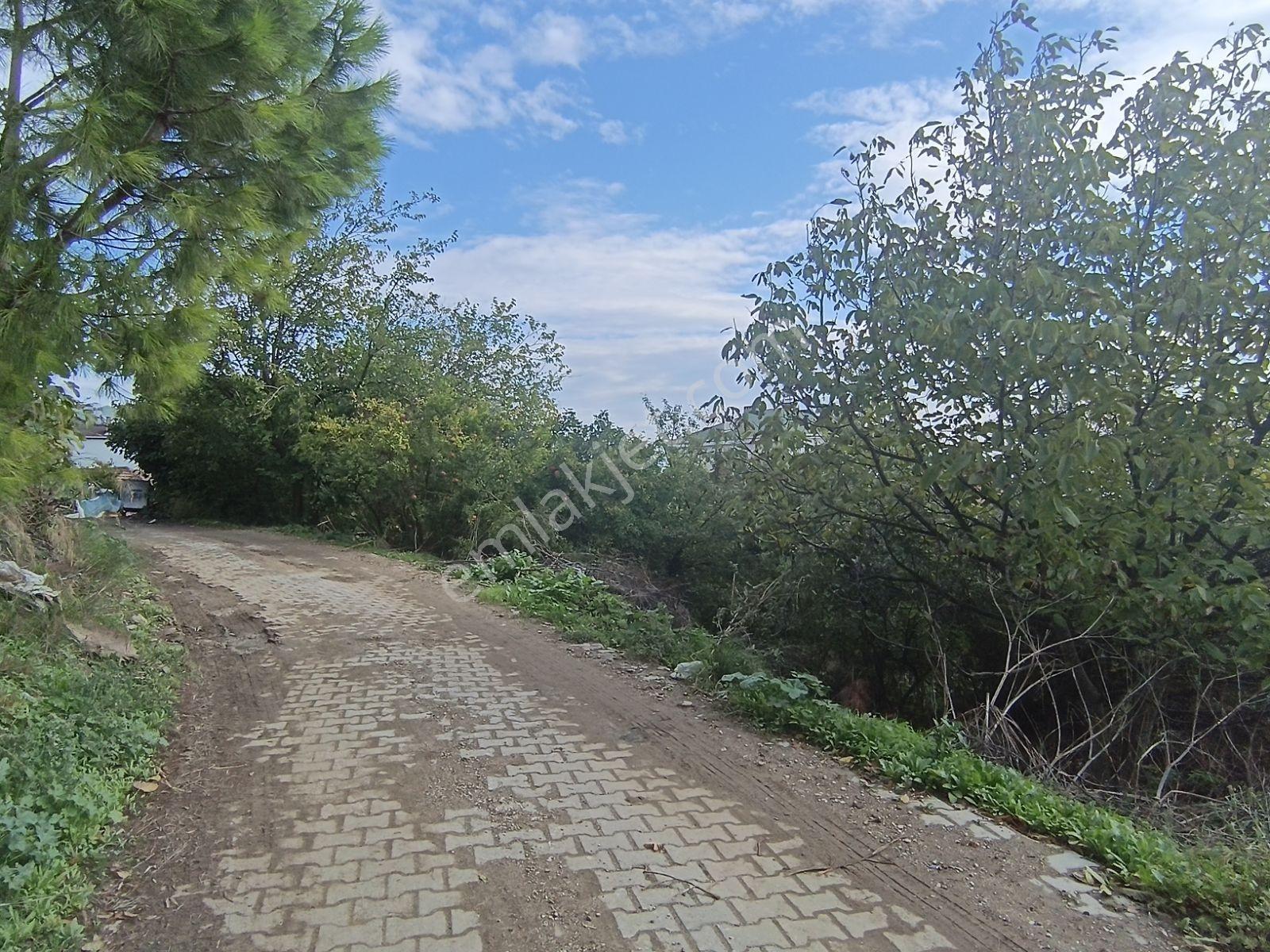 Köy Civarı İmarlı Arsa 2.5 Kat İmarlıdir — fotoğraf 11