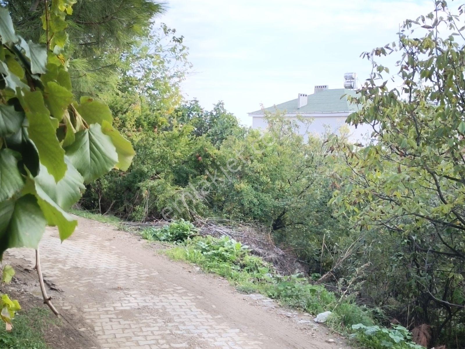 Köy Civarı İmarlı Arsa 2.5 Kat İmarlıdir — fotoğraf 13