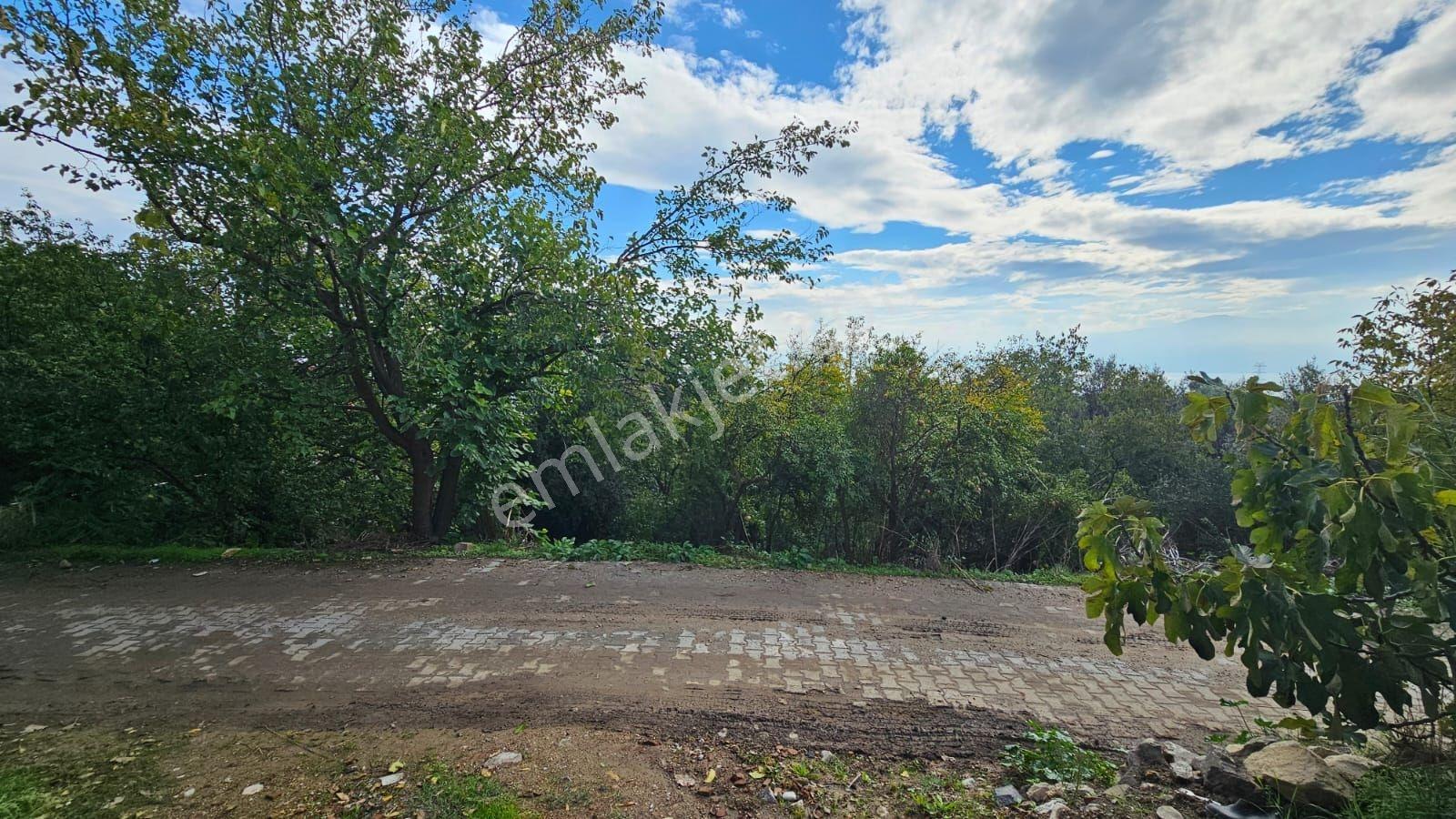 Köy Civarı İmarlı Arsa 2.5 Kat İmarlıdir — fotoğraf 16
