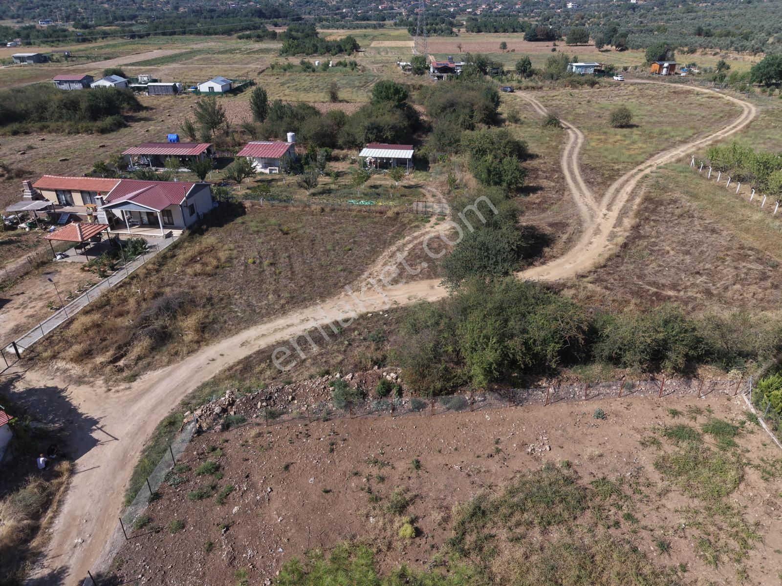 Doğadan Tuzabat Ovada Yolu Olan Prefabrik Arazisi — fotoğraf 2