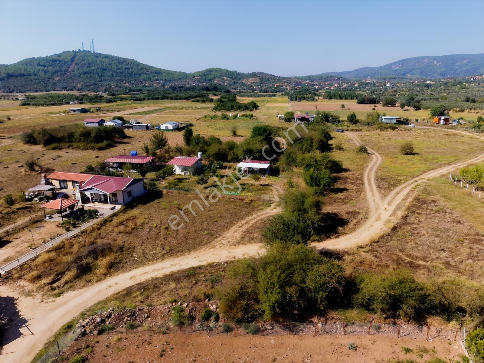Doğadan Tuzabat Ovada Yolu Olan Prefabrik Arazisi — fotoğraf 3