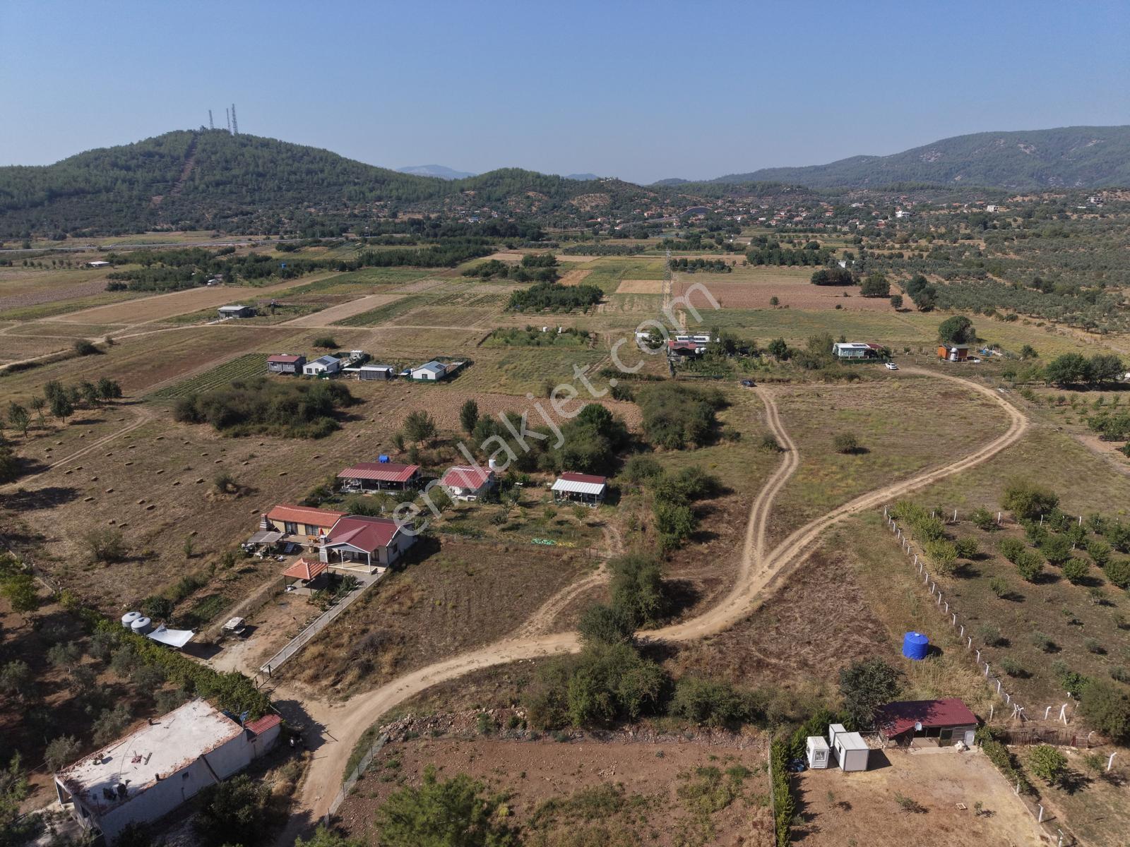 Doğadan Tuzabat Ovada Yolu Olan Prefabrik Arazisi — fotoğraf 4