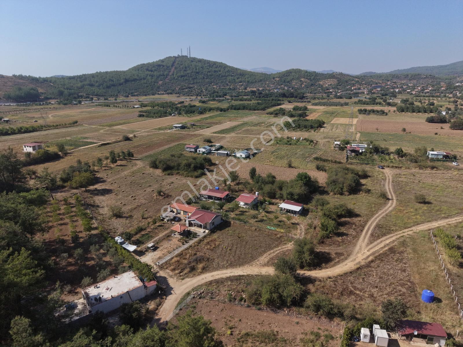 Doğadan Tuzabat Ovada Yolu Olan Prefabrik Arazisi — fotoğraf 5