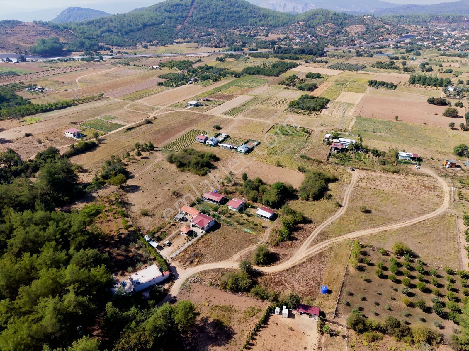 Doğadan Tuzabat Ovada Yolu Olan Prefabrik Arazisi — fotoğraf 8