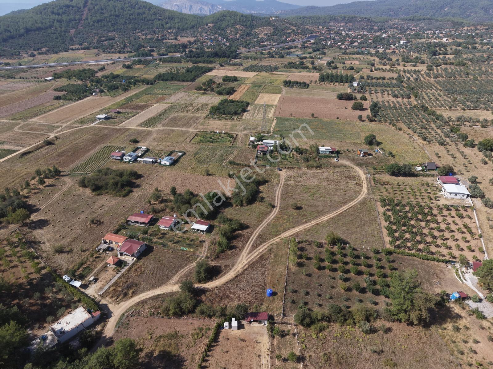 Doğadan Tuzabat Ovada Yolu Olan Prefabrik Arazisi — fotoğraf 9