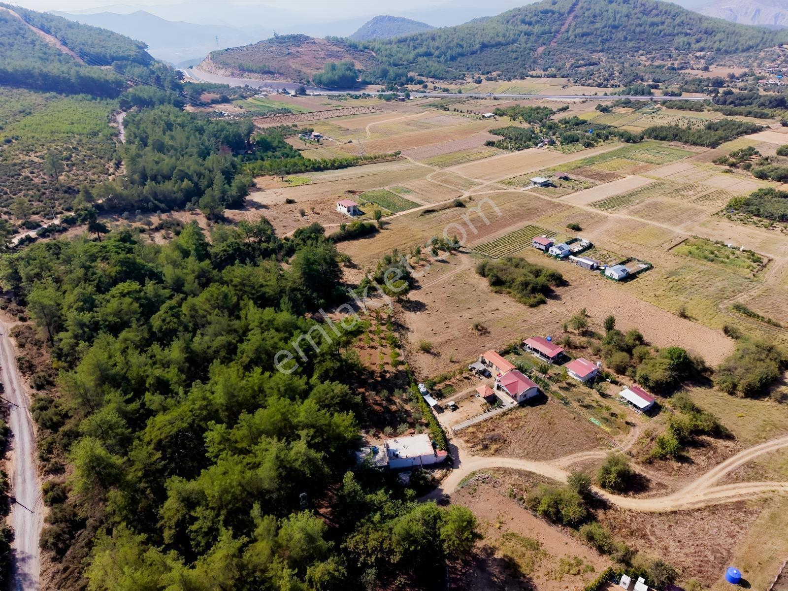 Doğadan Tuzabat Ovada Yolu Olan Prefabrik Arazisi — fotoğraf 10