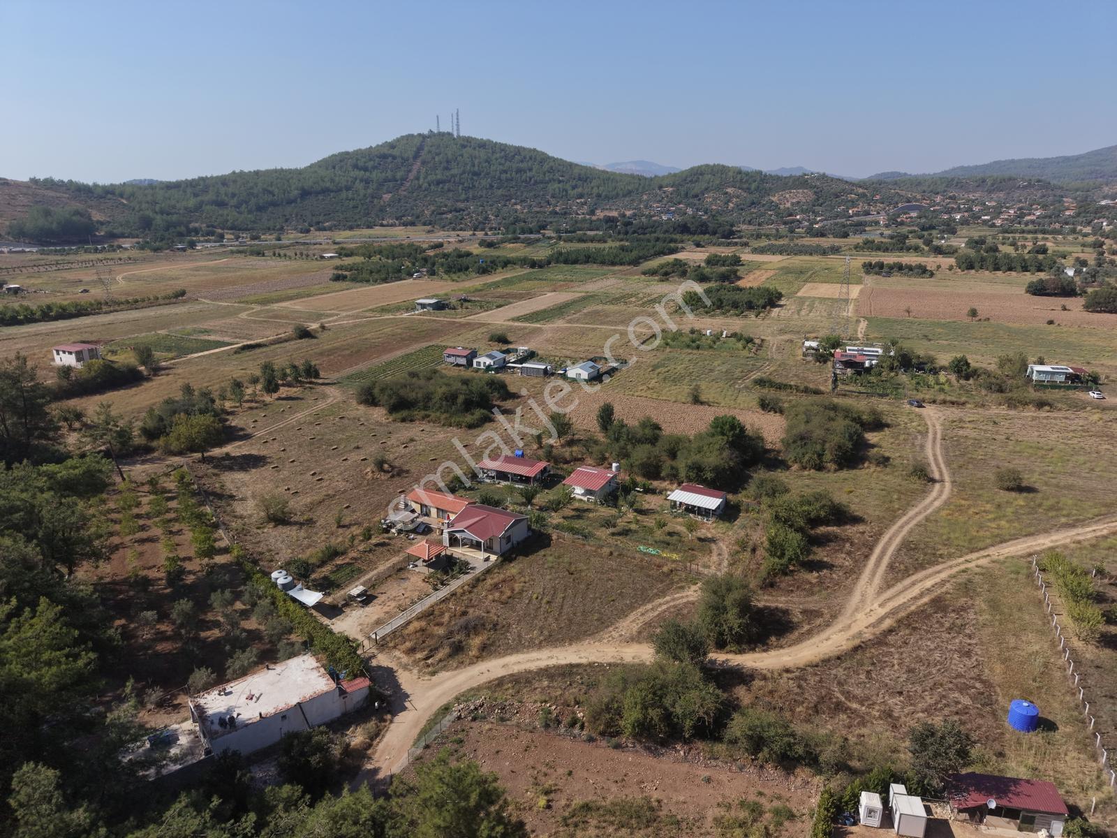 Doğadan Tuzabat Ovada Yolu Olan Prefabrik Arazisi — fotoğraf 11