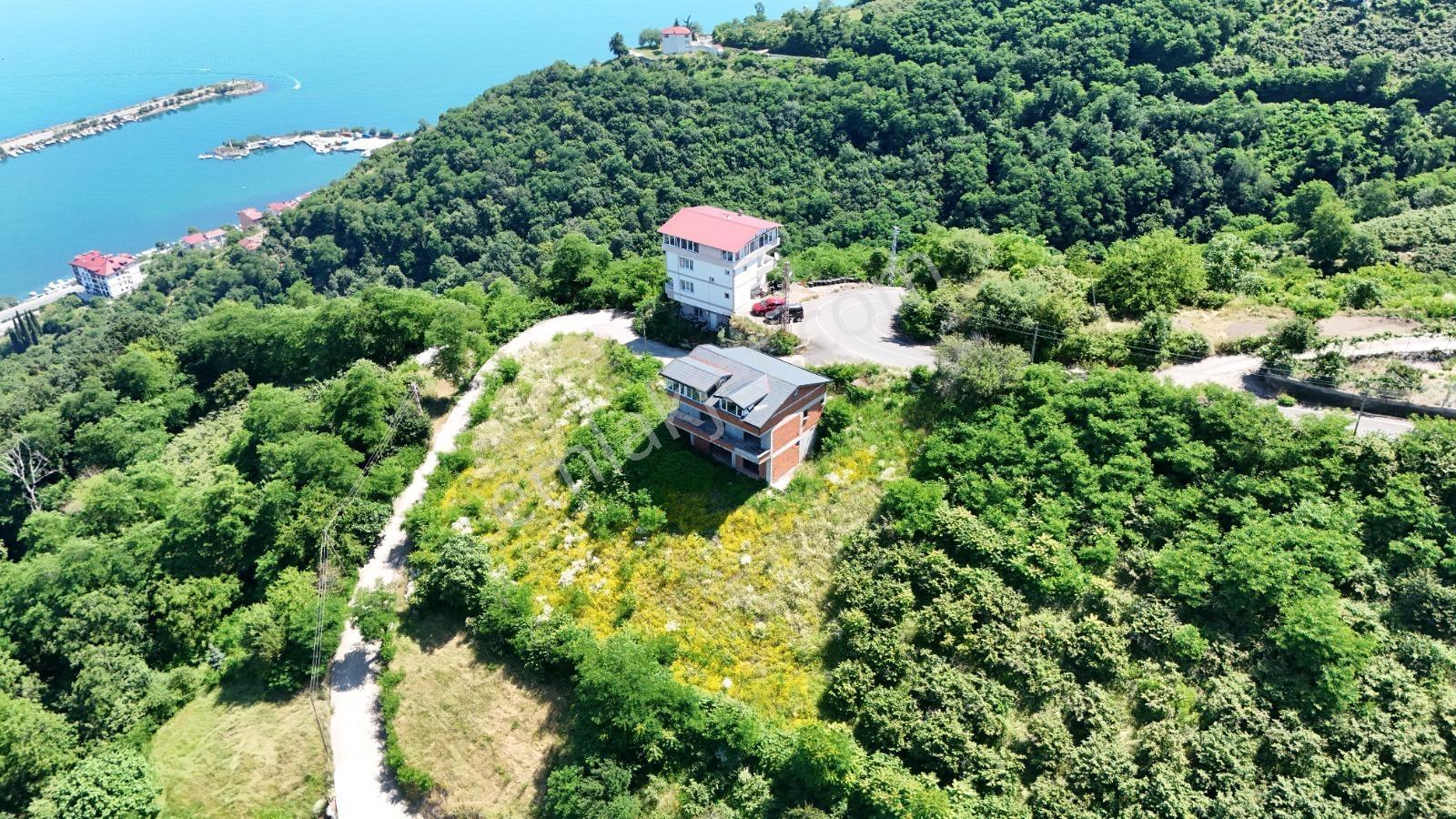 Ordu Hekimoğlu Emlak Boztepe Mh Satılık Arsa Ve Üç Katlı Bina