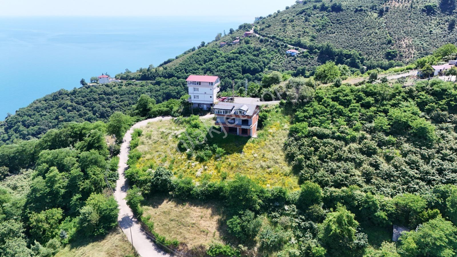 Ordu Hekimoğlu Emlak Boztepe Mh Satılık Arsa Ve Üç Katlı Bina — fotoğraf 2