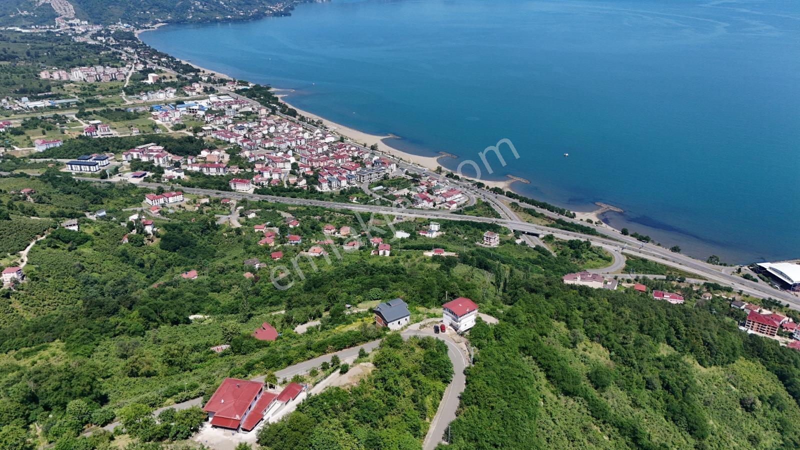 Ordu Hekimoğlu Emlak Boztepe Mh Satılık Arsa Ve Üç Katlı Bina — fotoğraf 3