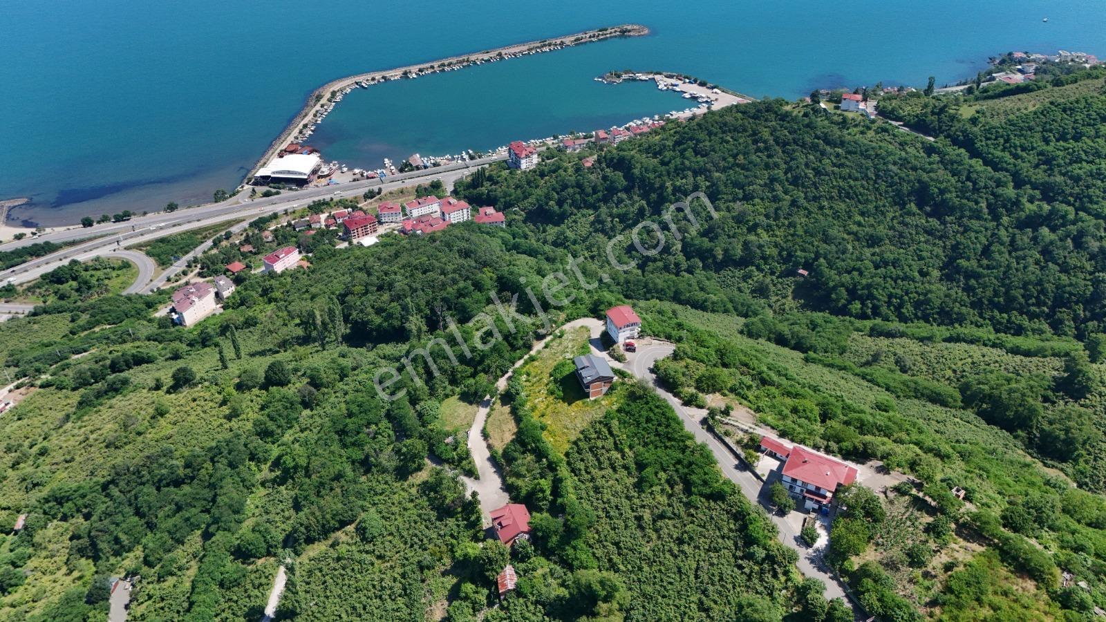 Ordu Hekimoğlu Emlak Boztepe Mh Satılık Arsa Ve Üç Katlı Bina — fotoğraf 4