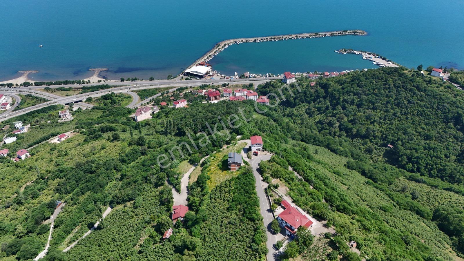 Ordu Hekimoğlu Emlak Boztepe Mh Satılık Arsa Ve Üç Katlı Bina — fotoğraf 5