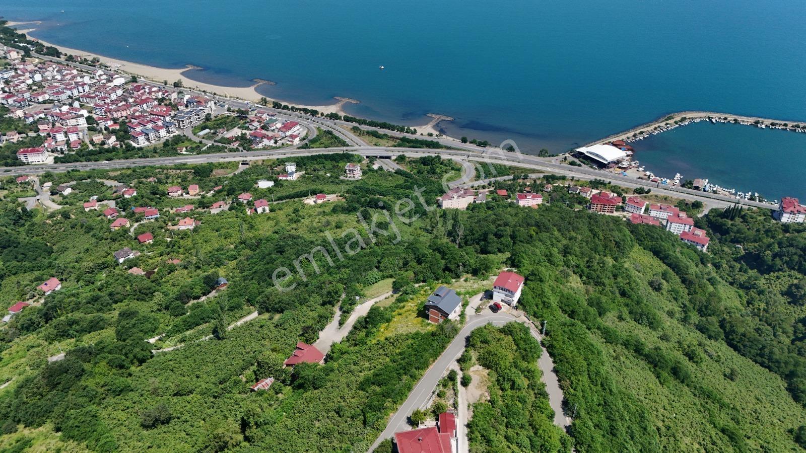 Ordu Hekimoğlu Emlak Boztepe Mh Satılık Arsa Ve Üç Katlı Bina — fotoğraf 7